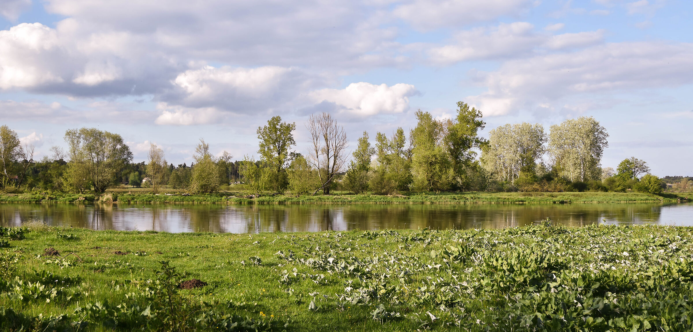 La valle del fiume Bug 23