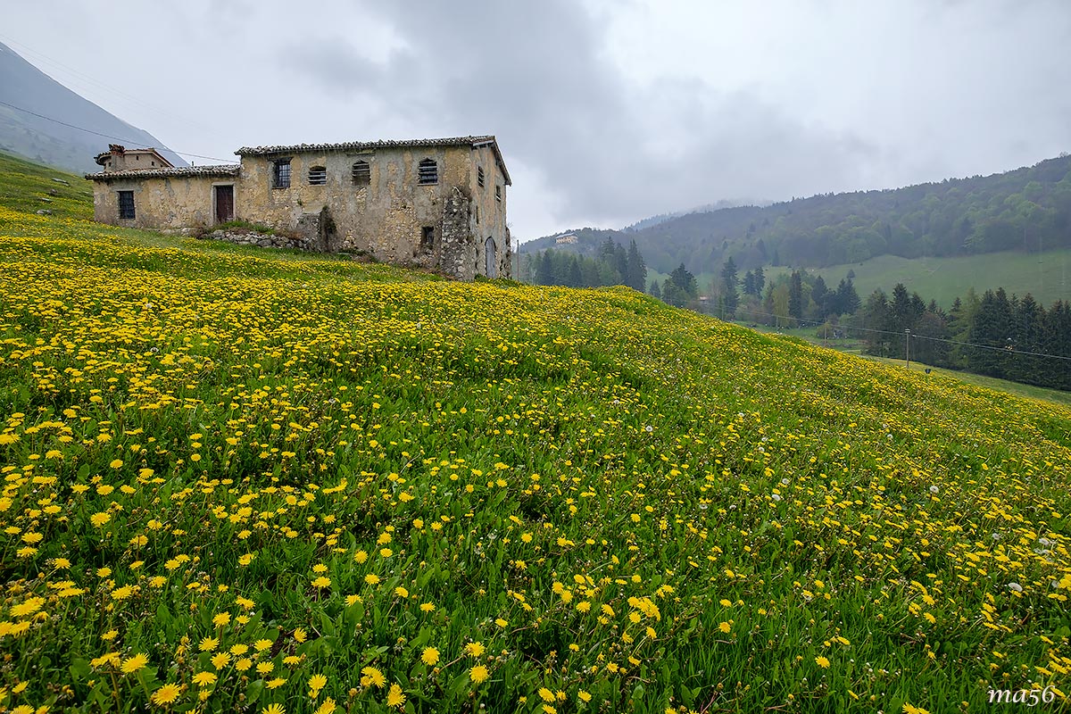 Novezzina, Mount Baldo
