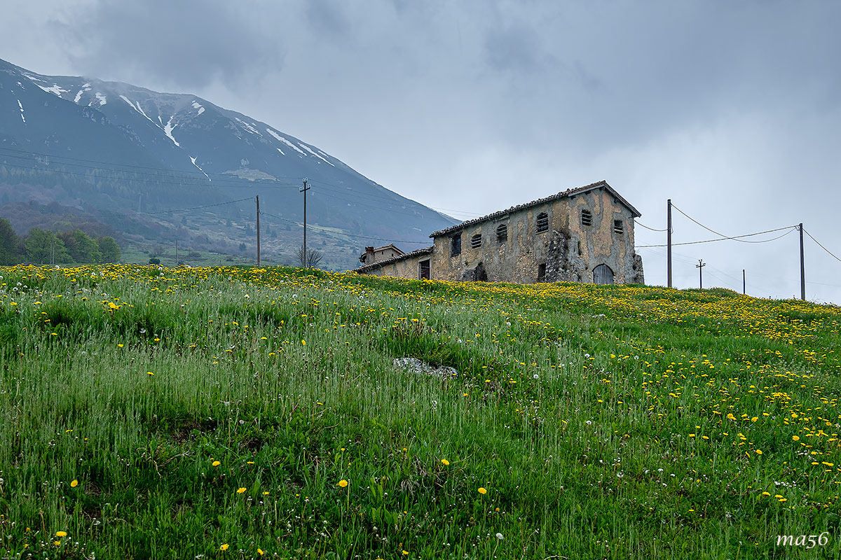 Novezzina, Monte Baldo