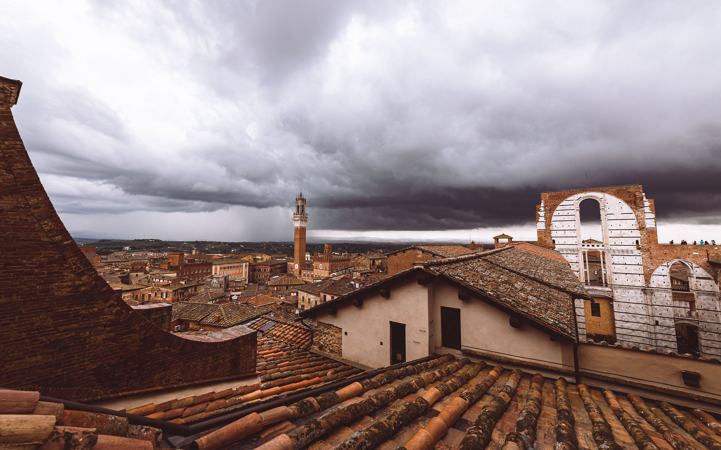 Senesi roofs