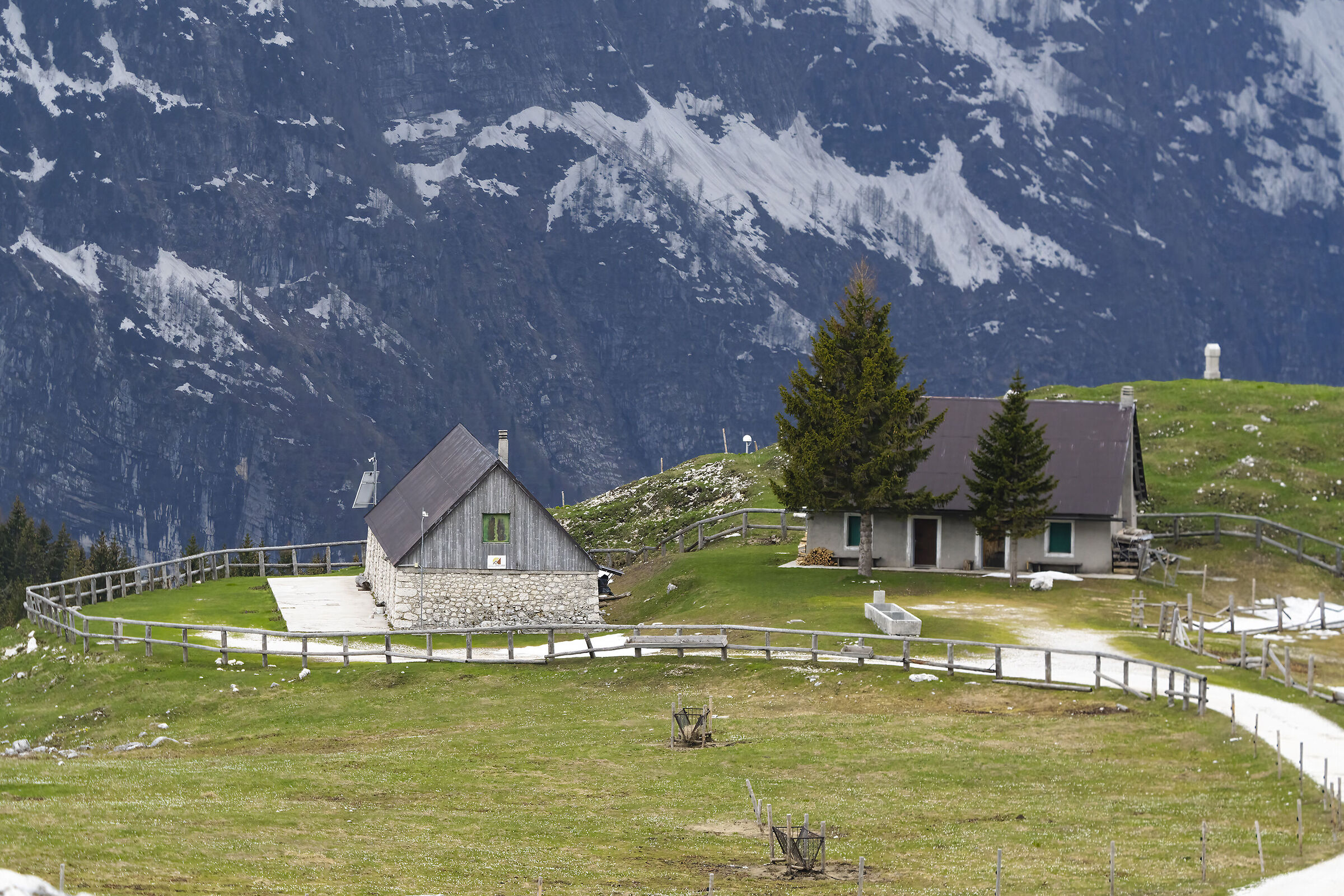 Malghe Montasio alpi Giulie