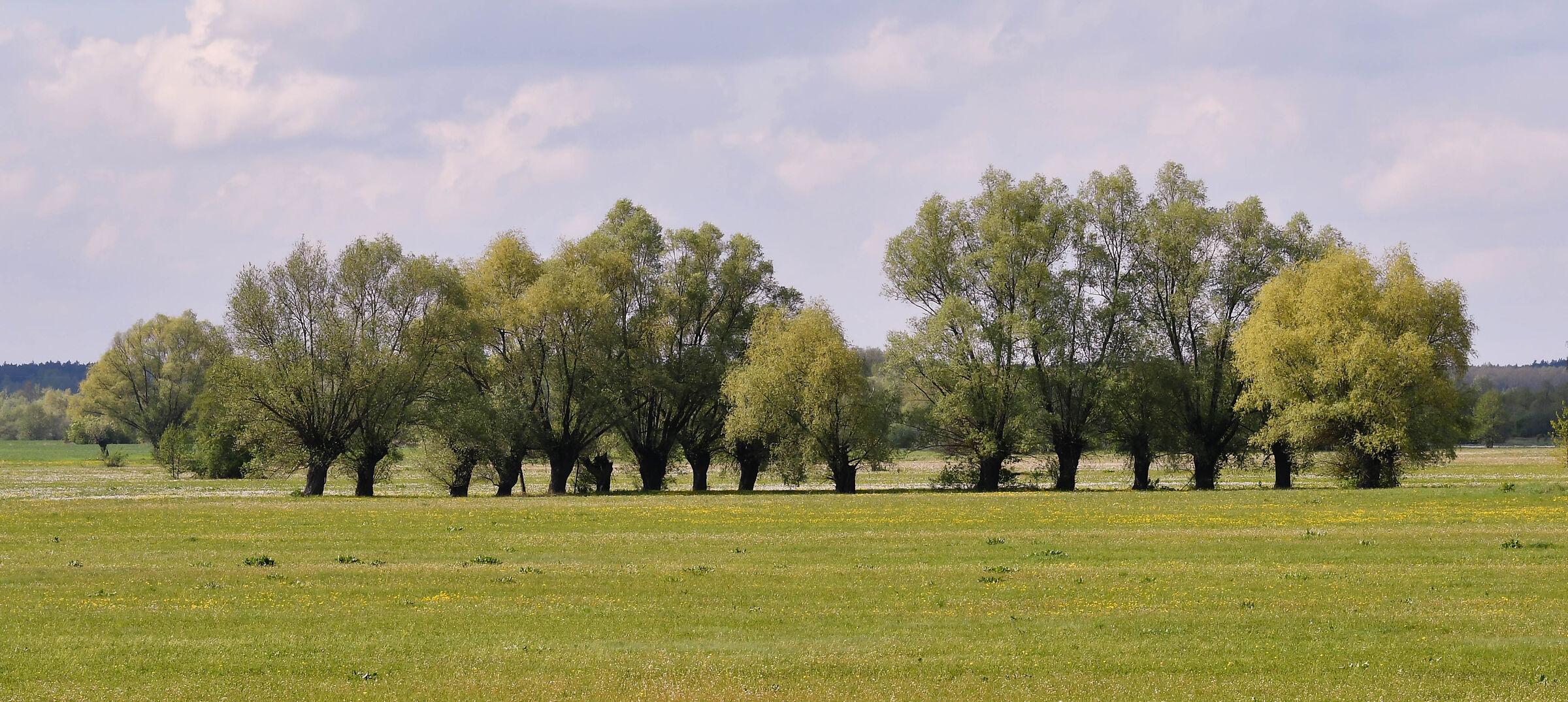 The Bug river valley 25