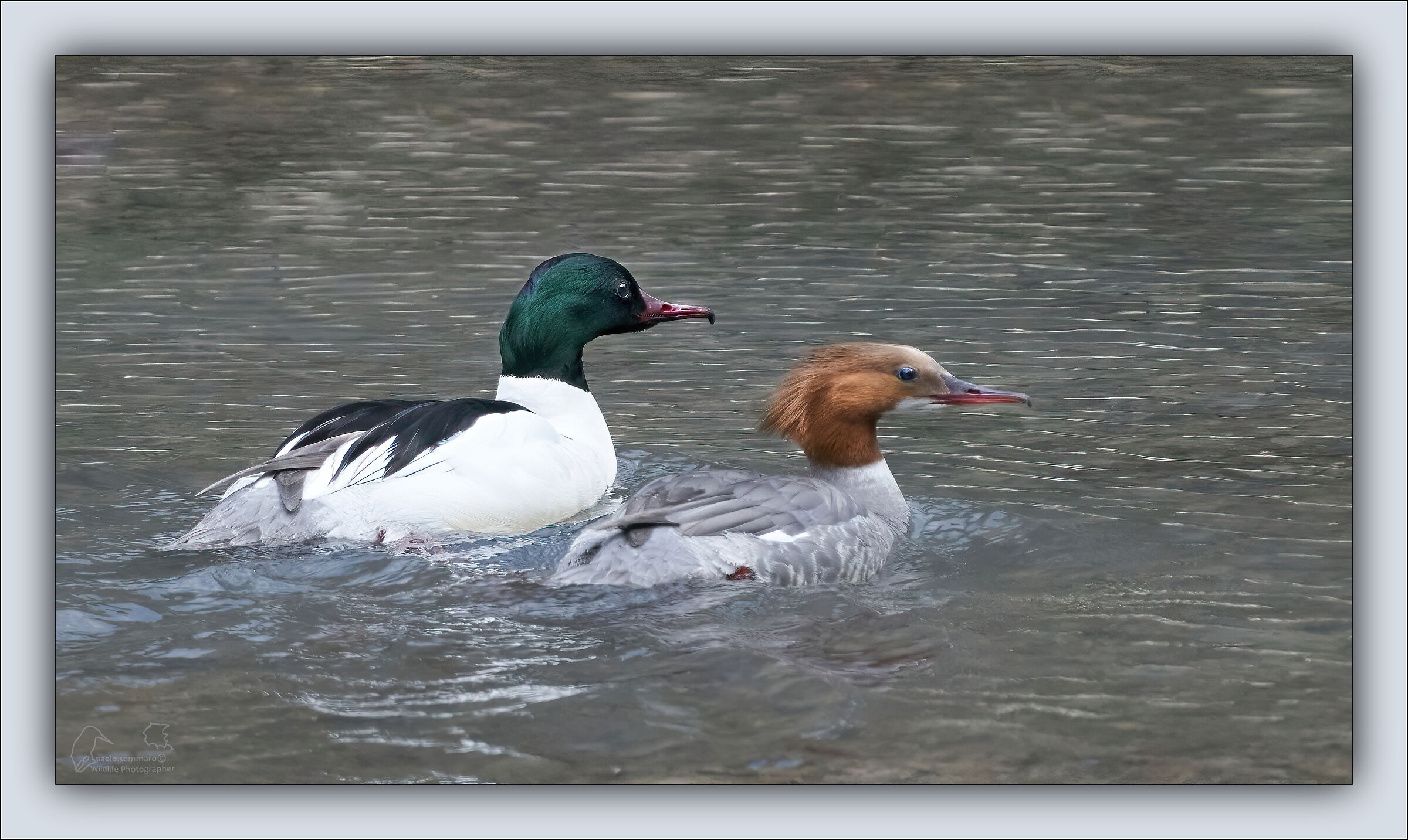 You emerge, the couple...