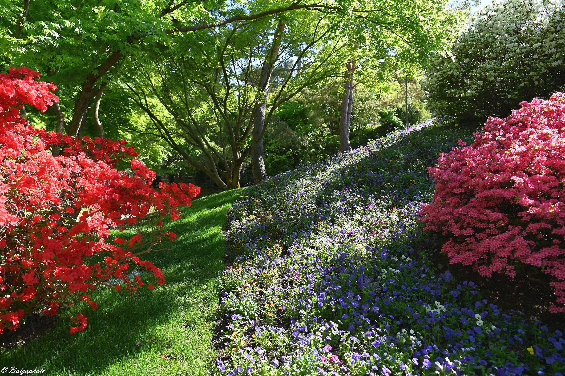 Trauttmansdorff Castle spring colors