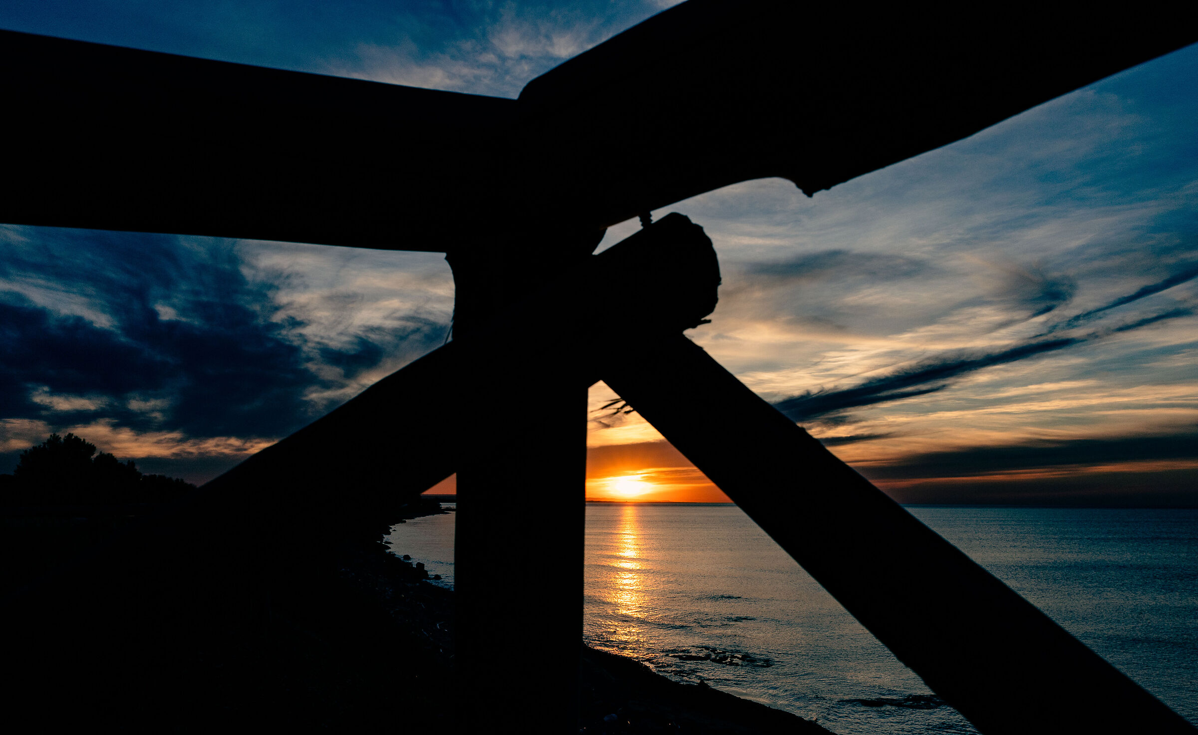 Untitled Photo