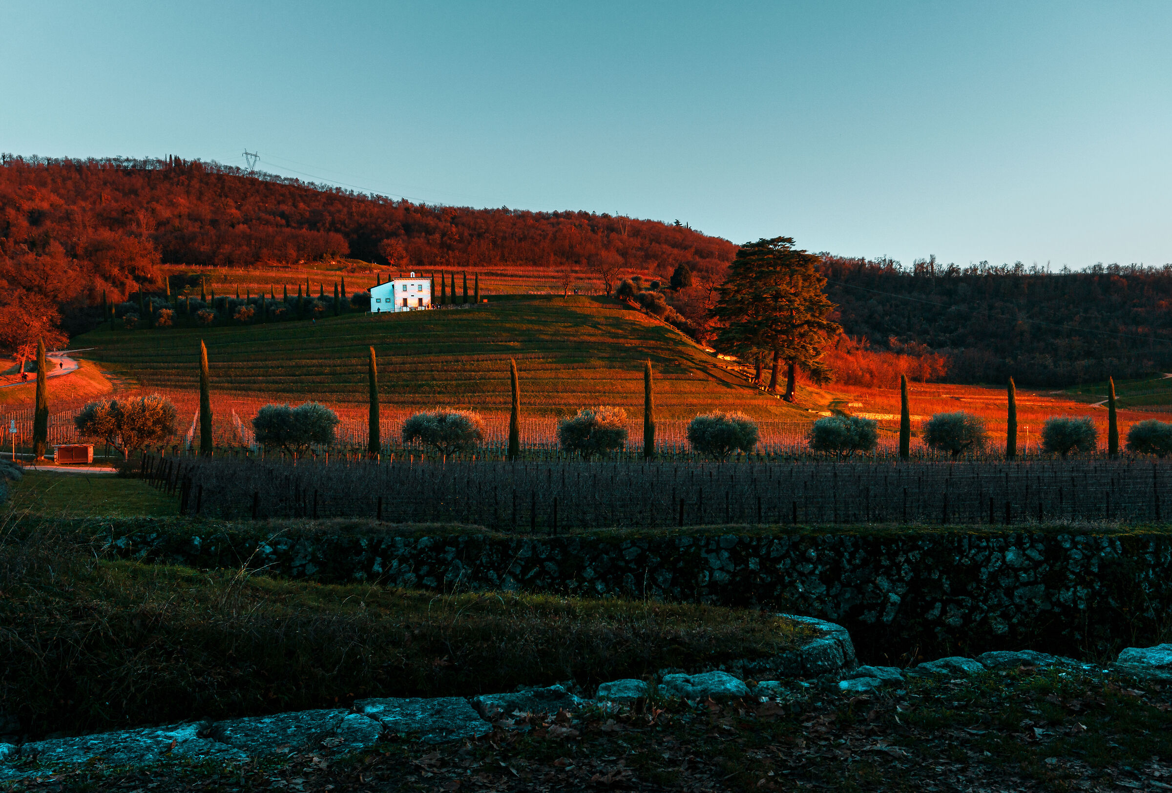 Villa Mosconi Bertani