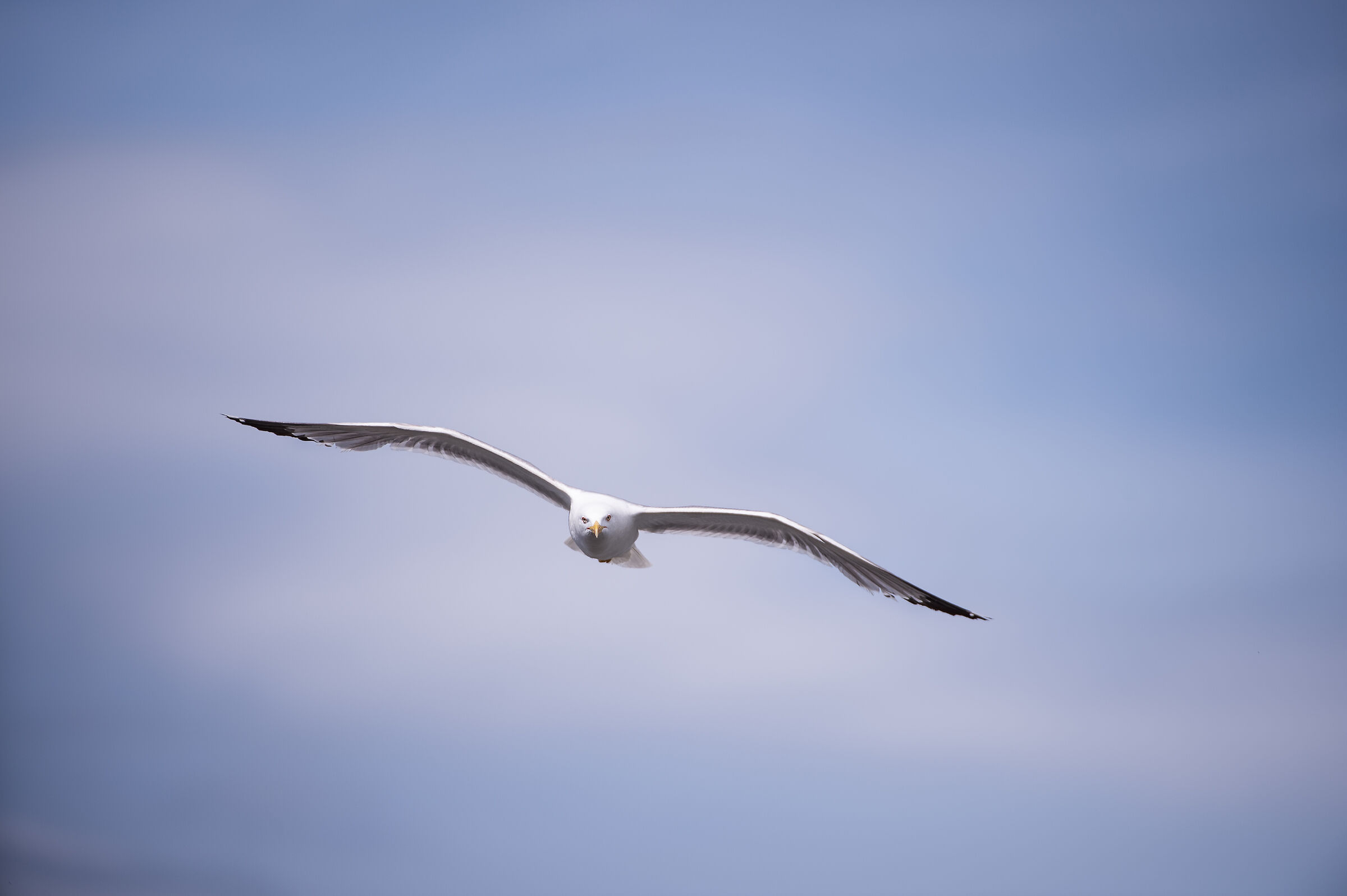 Are you looking at me?