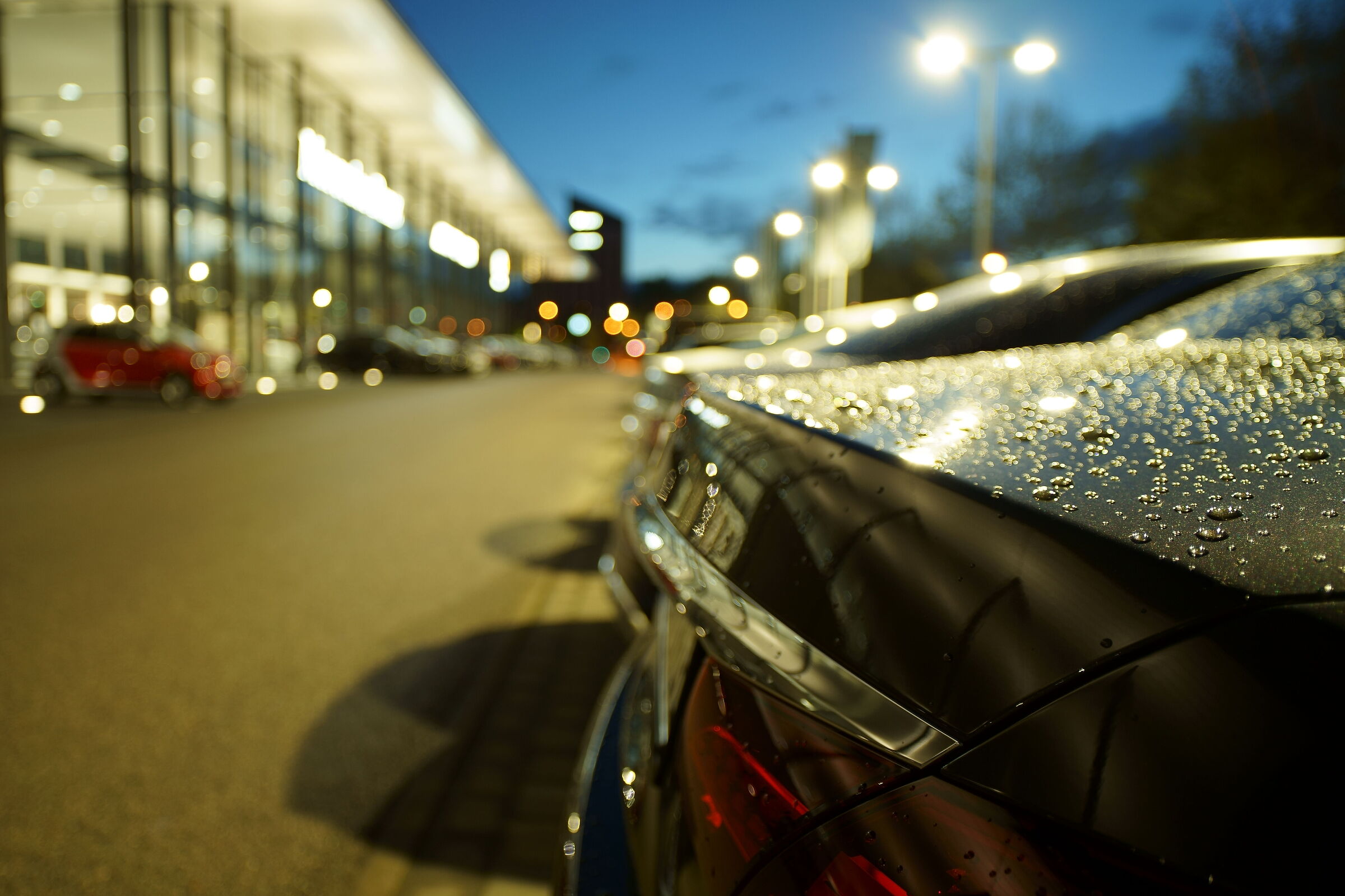 nessuno auto sogno secco