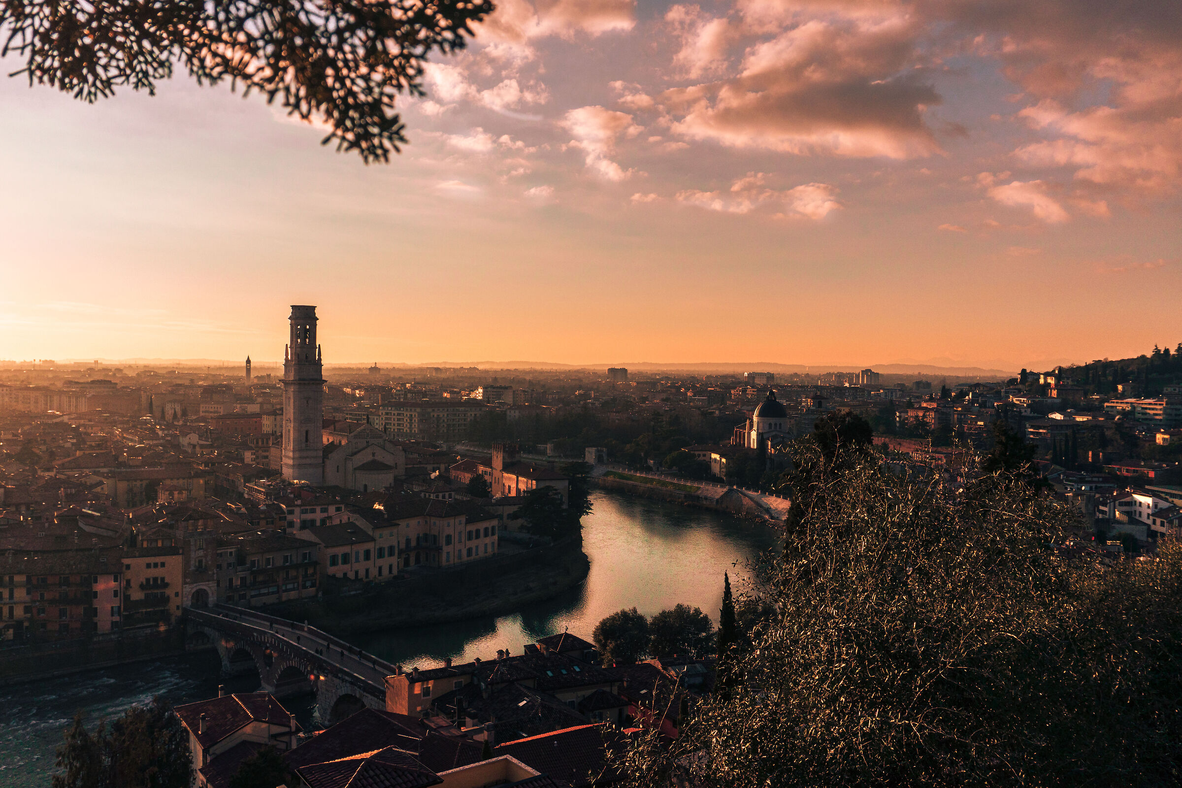 Verona