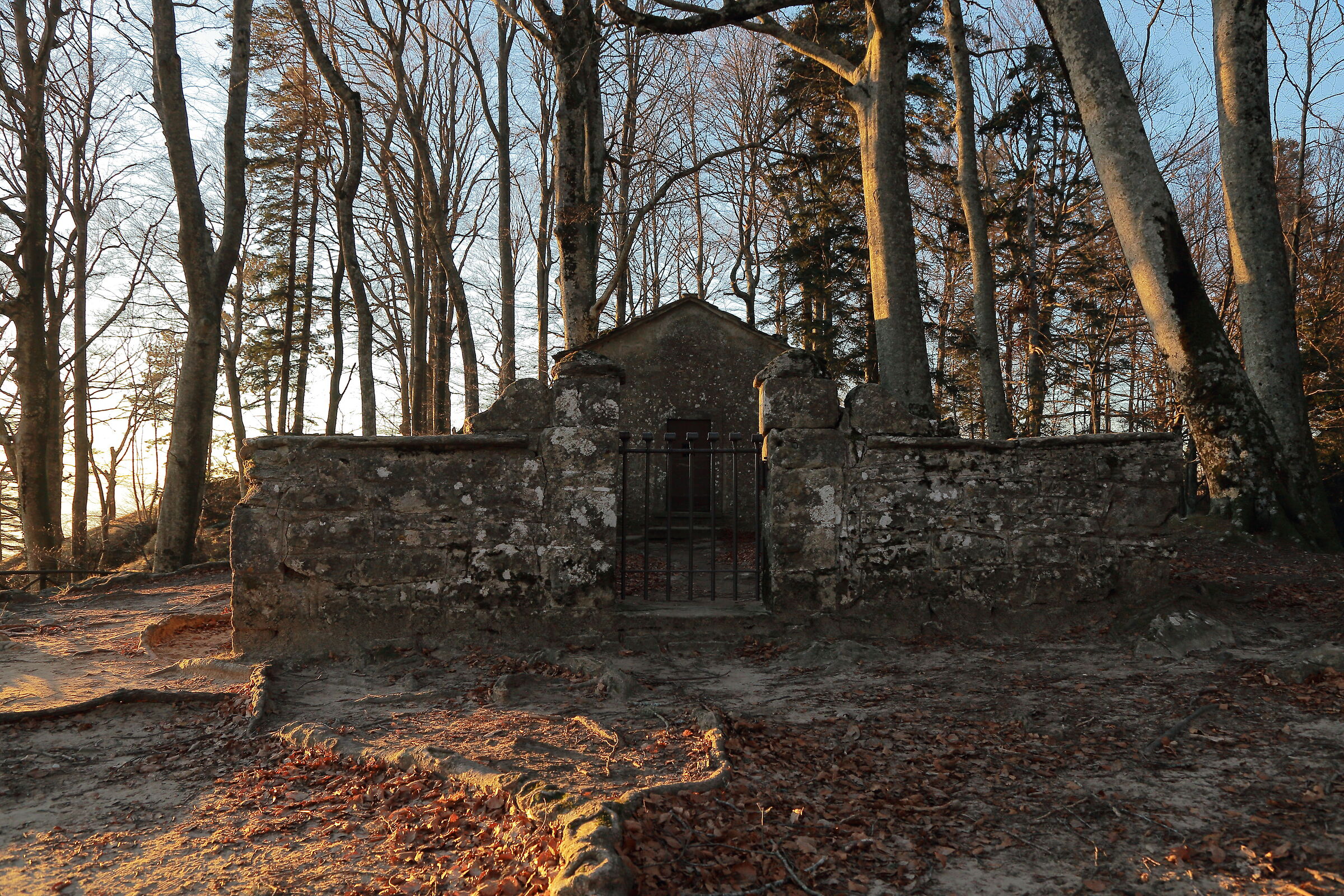 La cappella del faggio