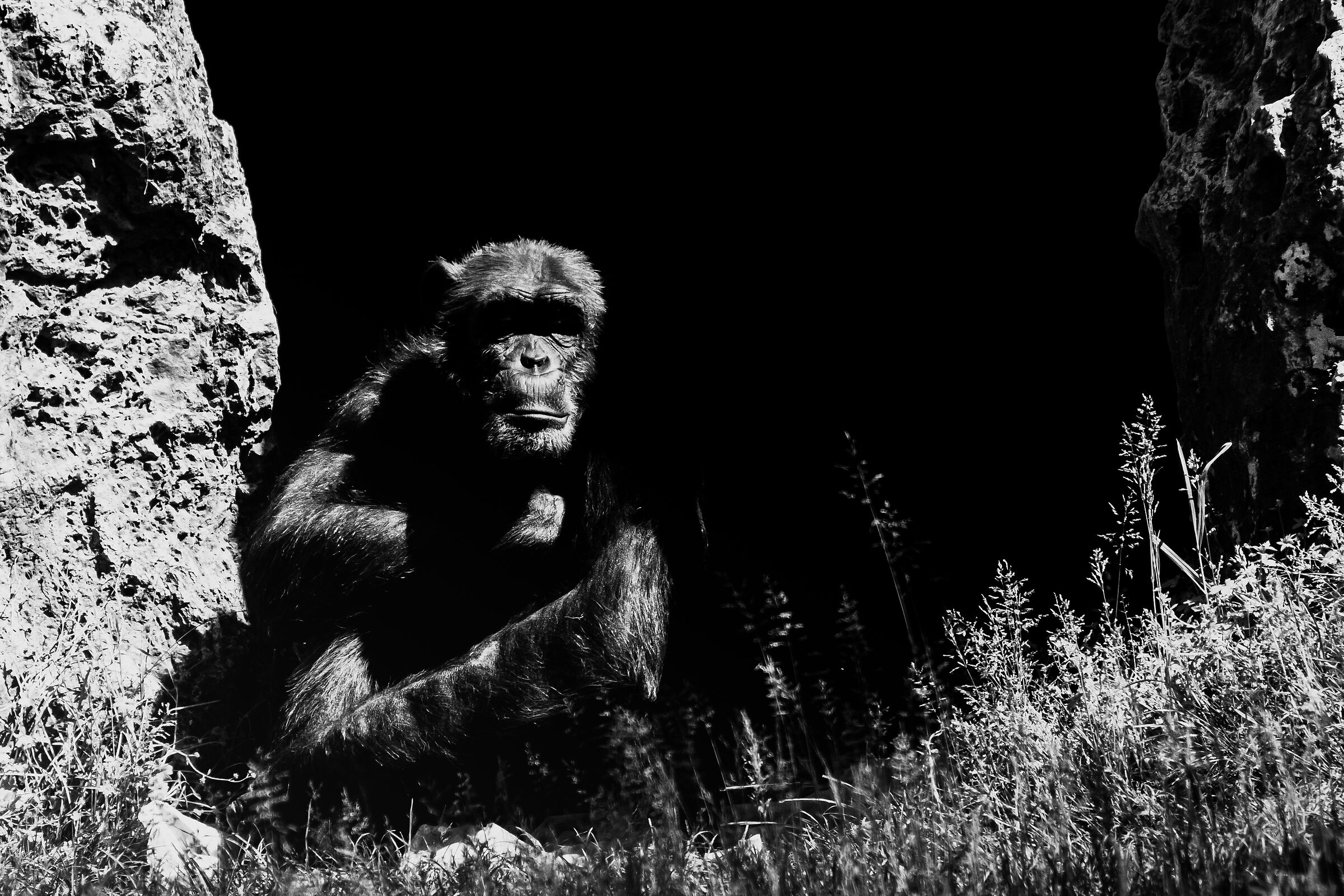 Ritratto e posa B/N 1