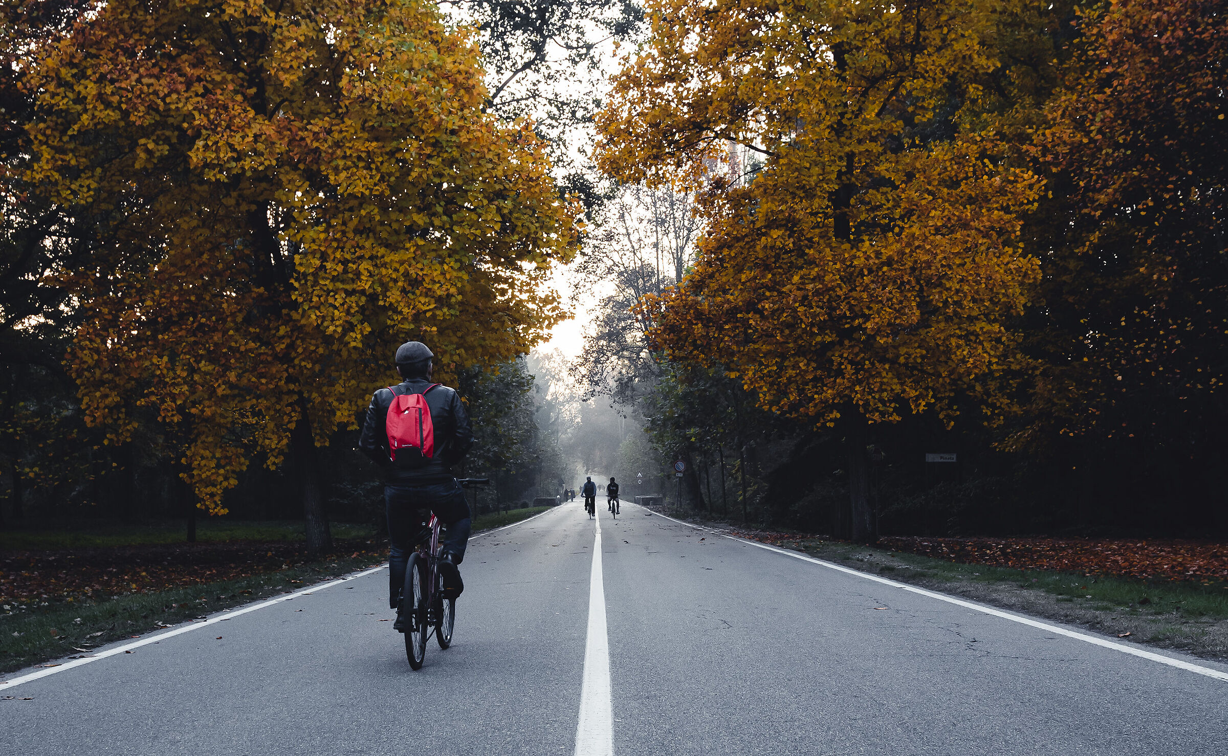 Autunno nel parco di Monza
