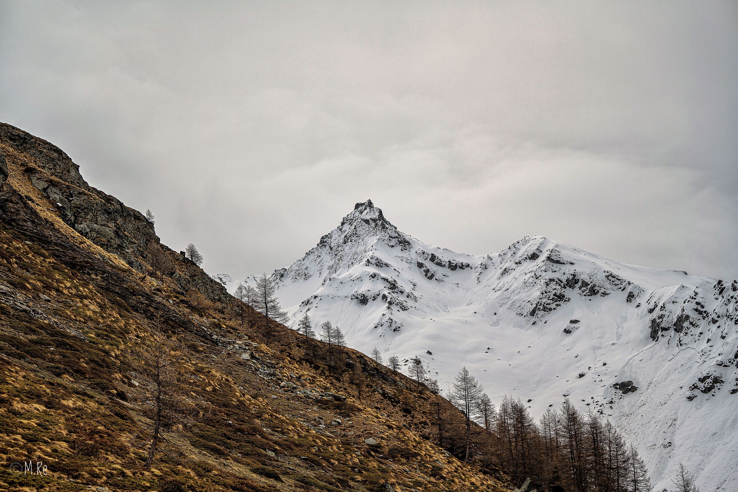 Grand Tournalin, California