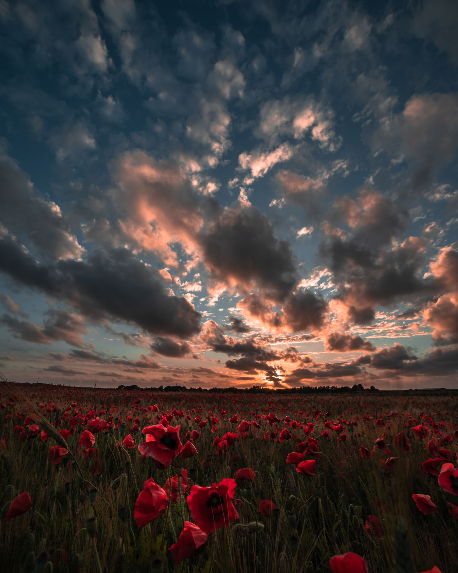 Tramonto nel sinis