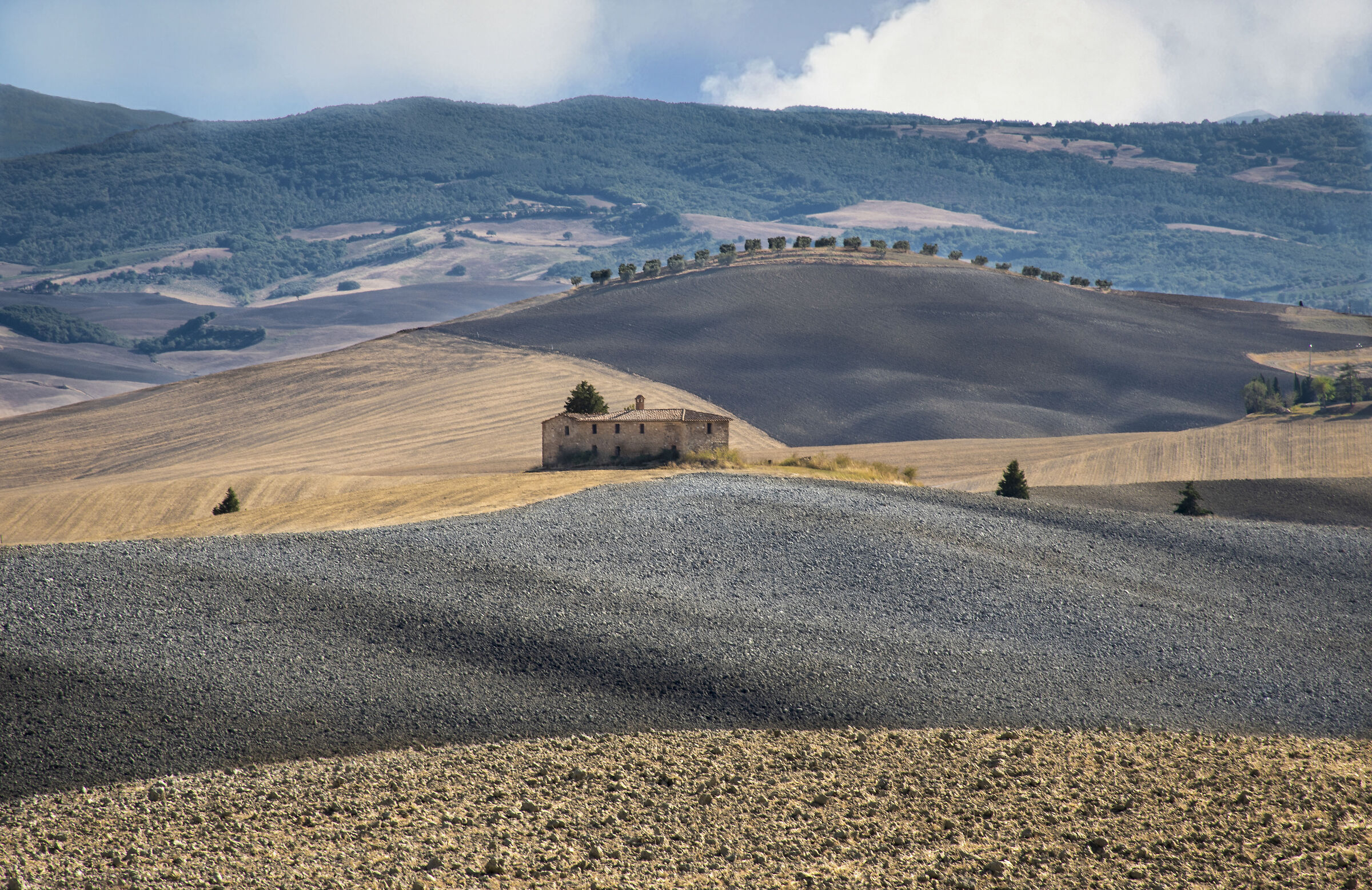 the Crete Senesi