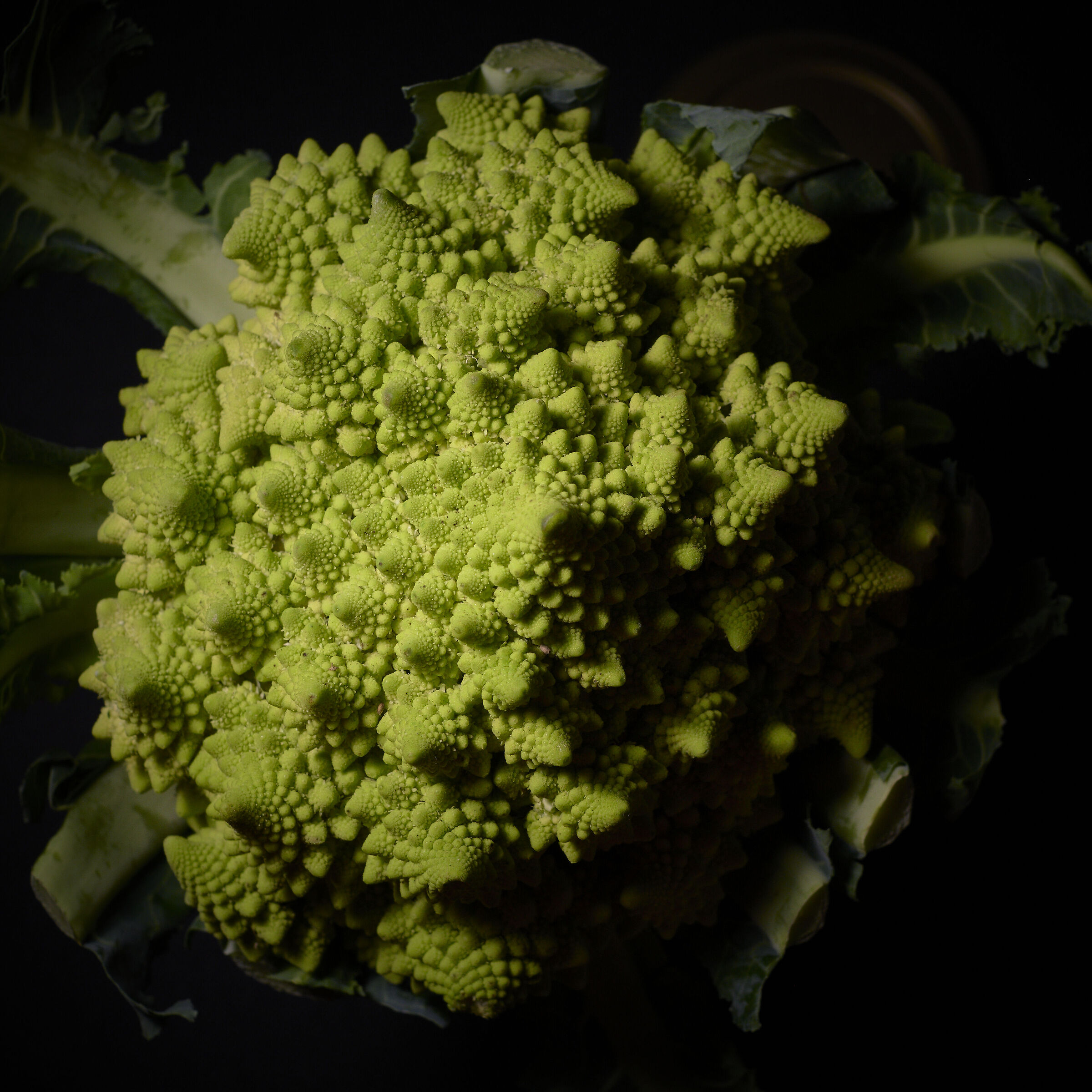 Cima Romanesca