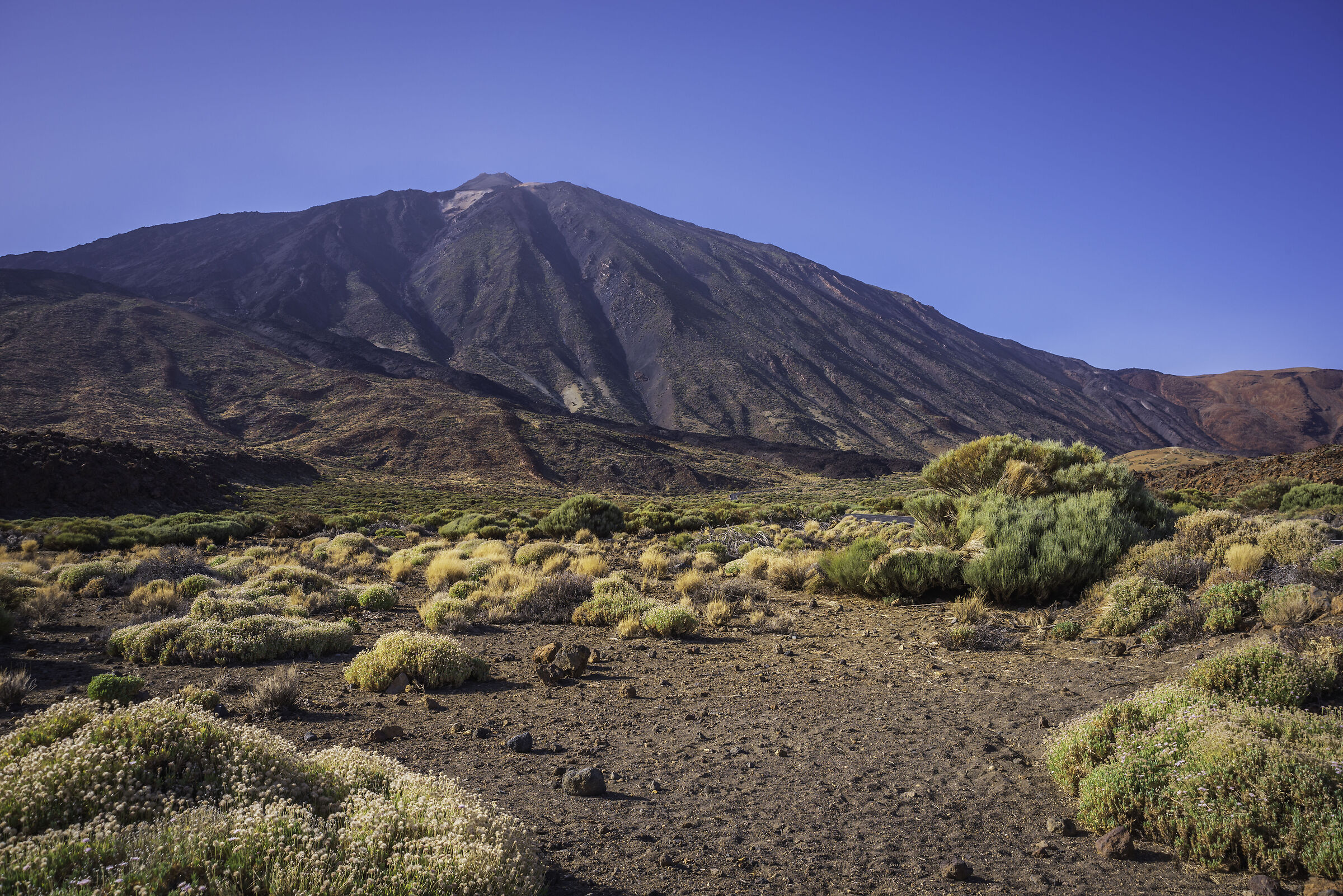 Vulcano Teide - Tenerife