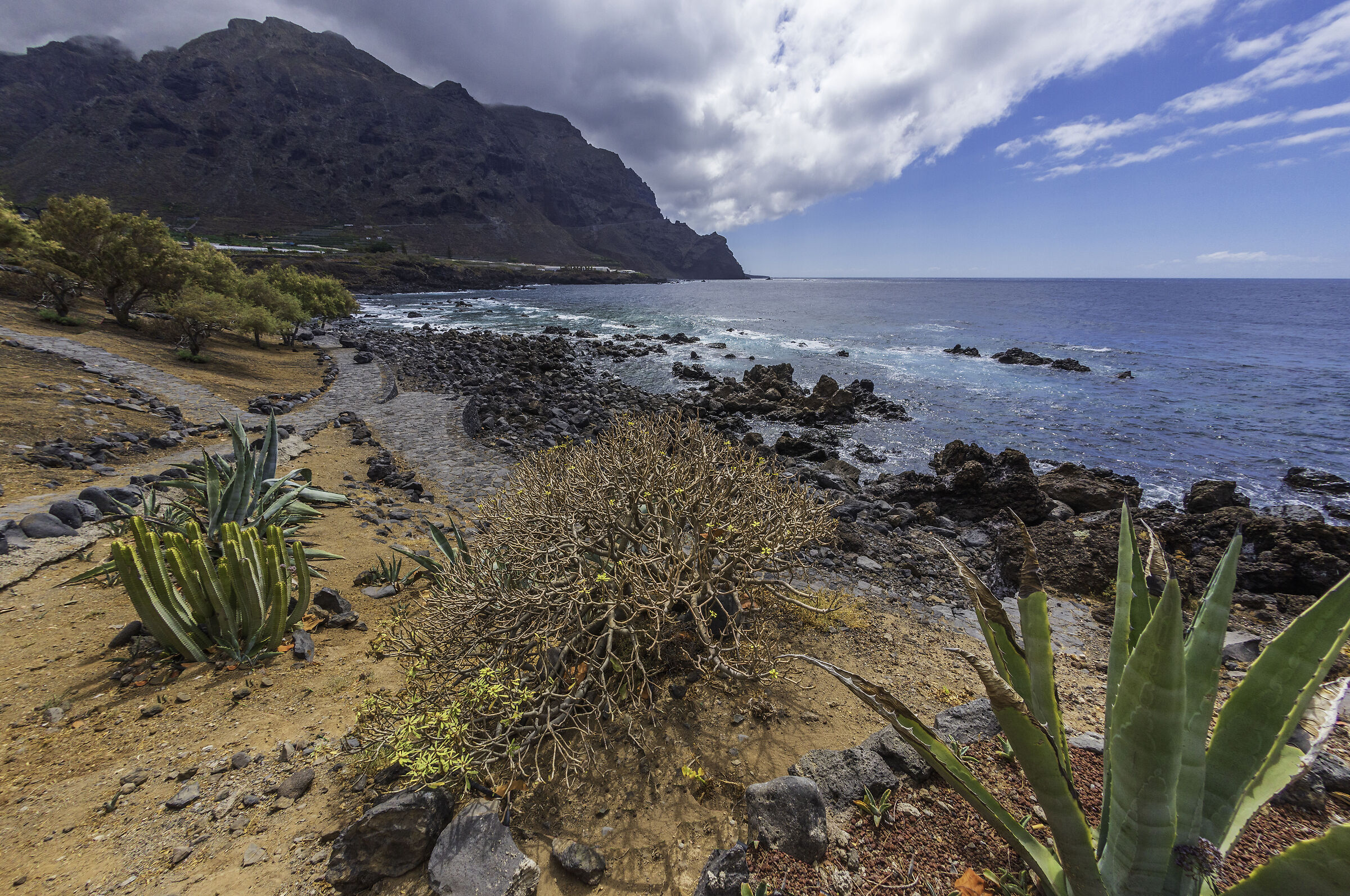 Las Arenas - Tenerife