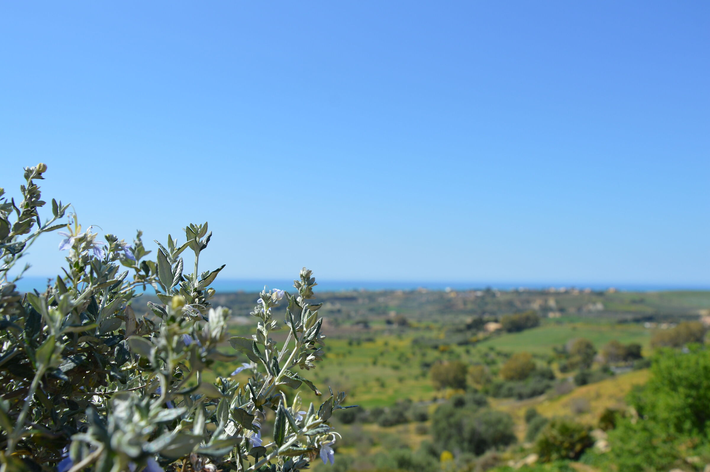 Sicily - Valley of the Temples