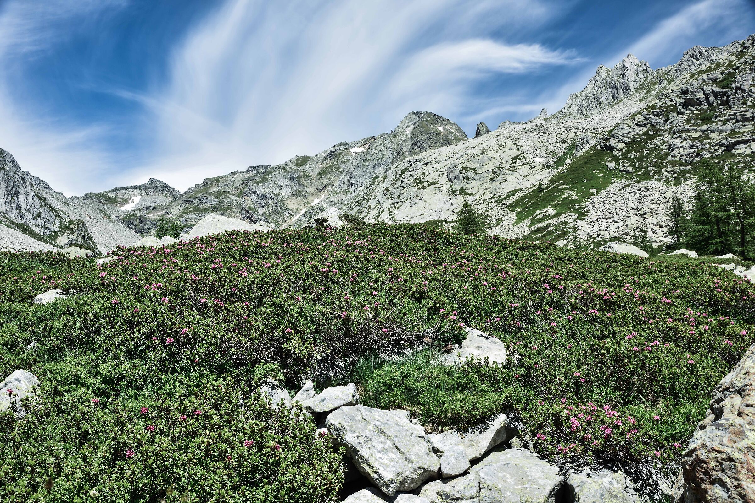 Alpe Devero - Valdeserta