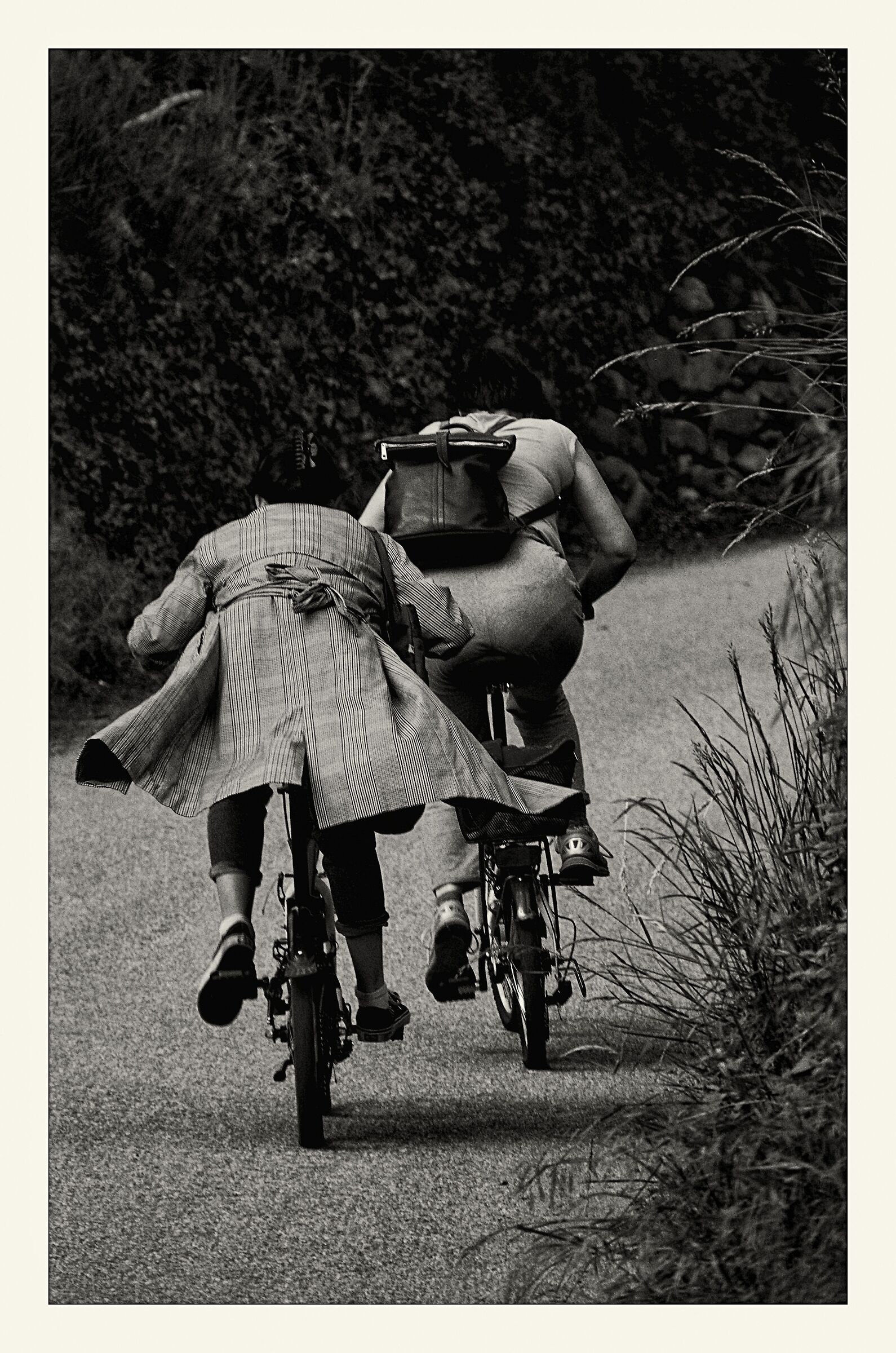 Hai voluto la bicicletta ... ?