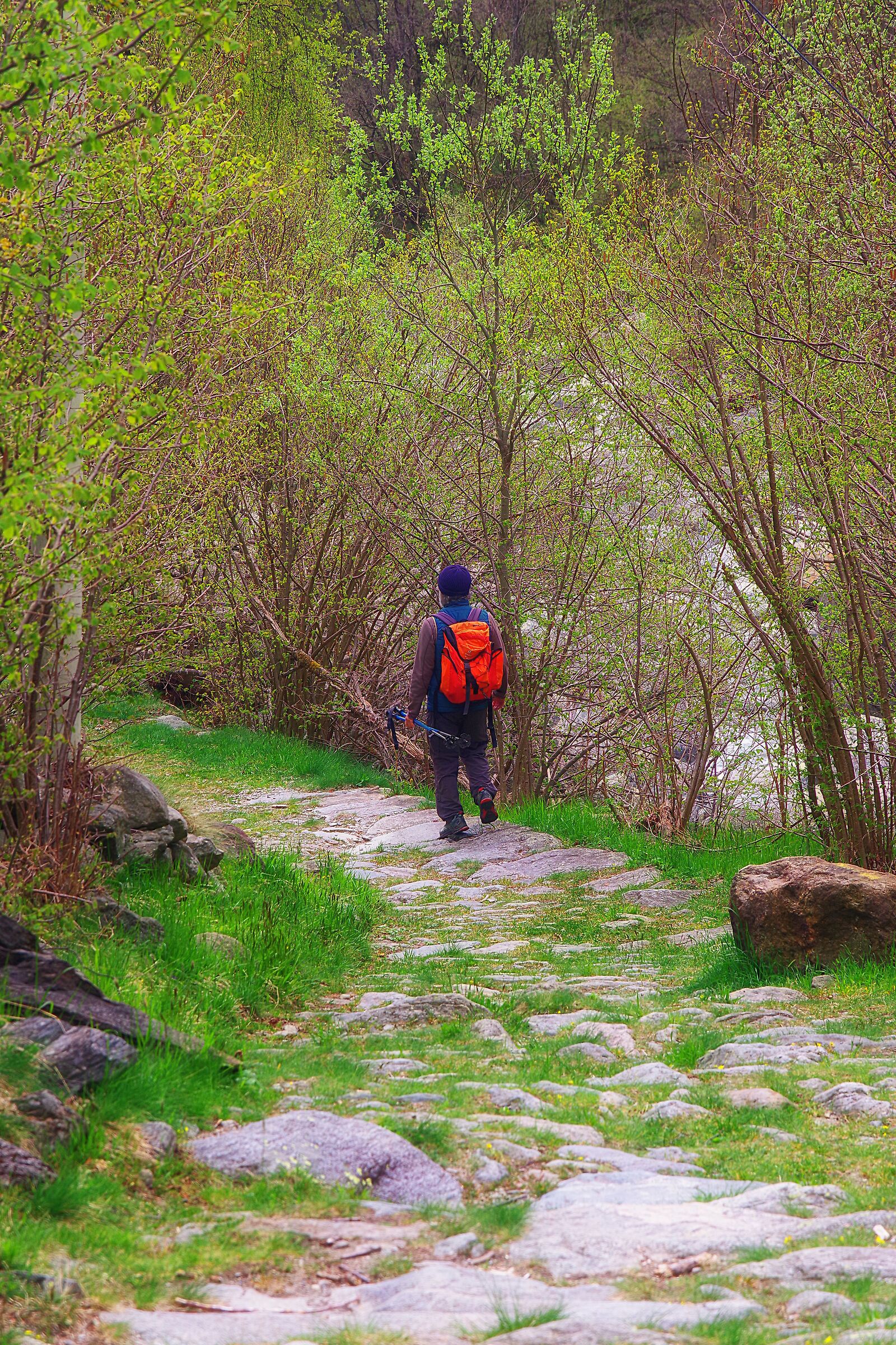 Il vecchio montanaro