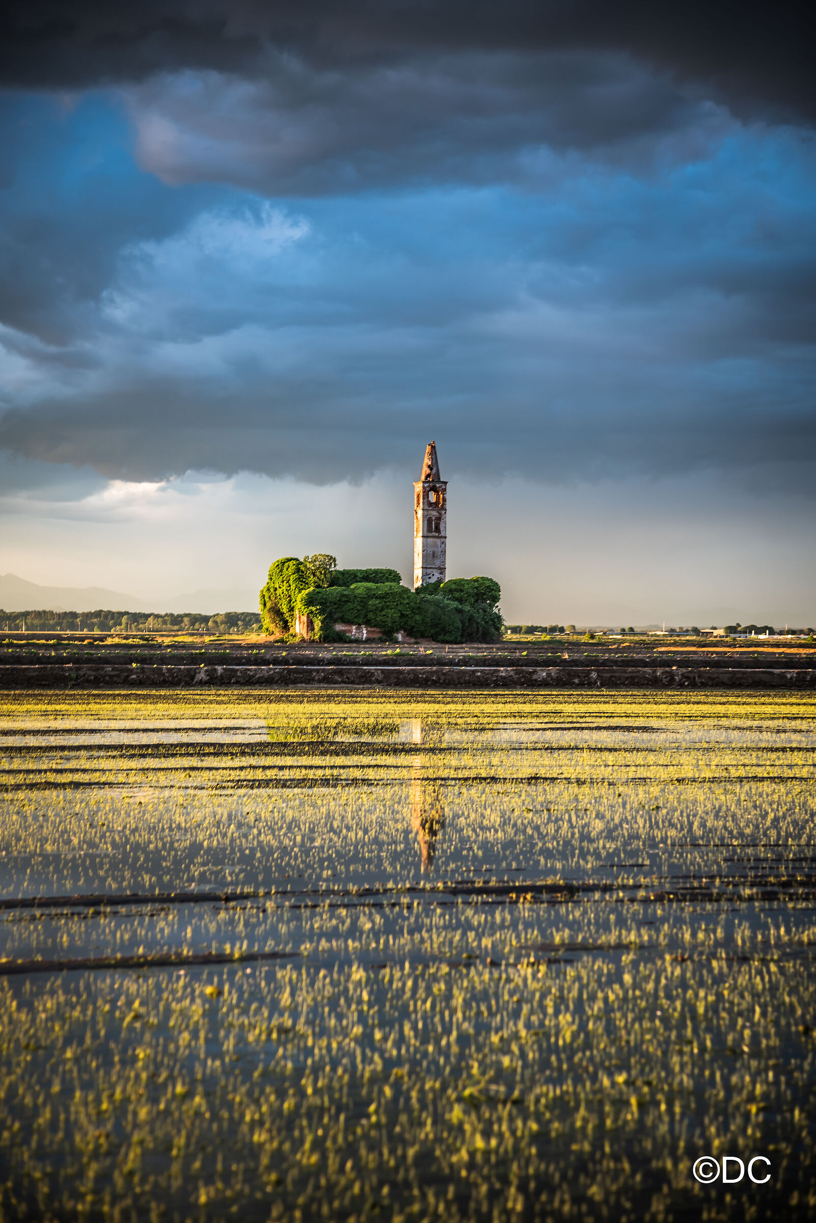 church on rice paddies