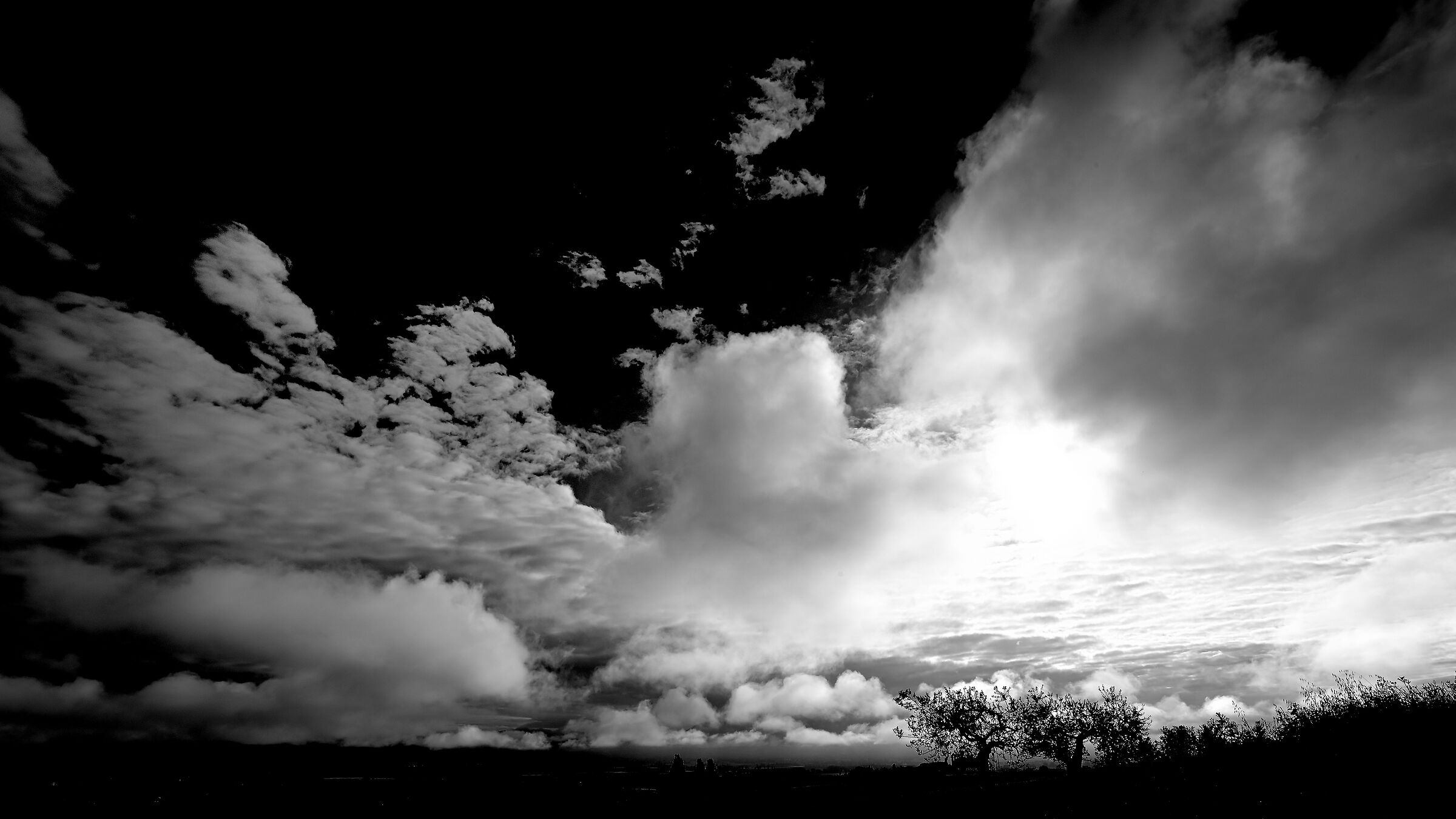 Nuvole e alberi