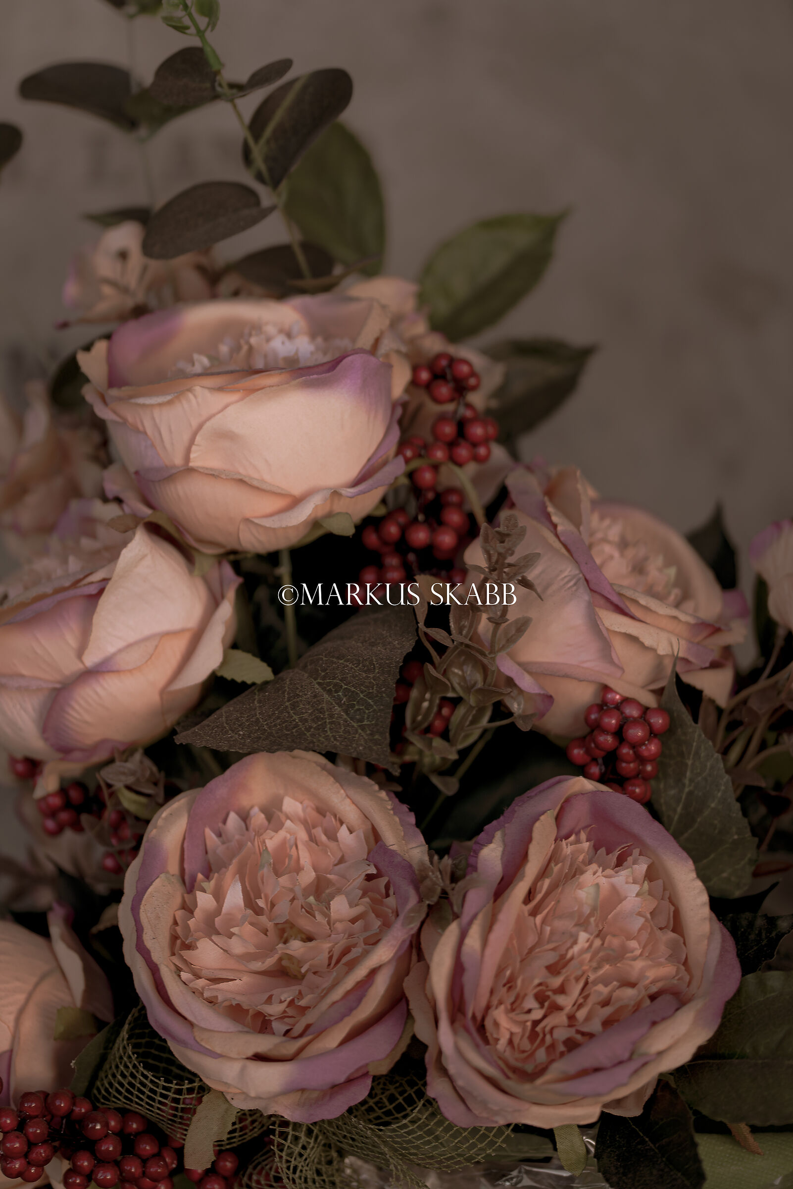 polvere silenzio e un po' di colore