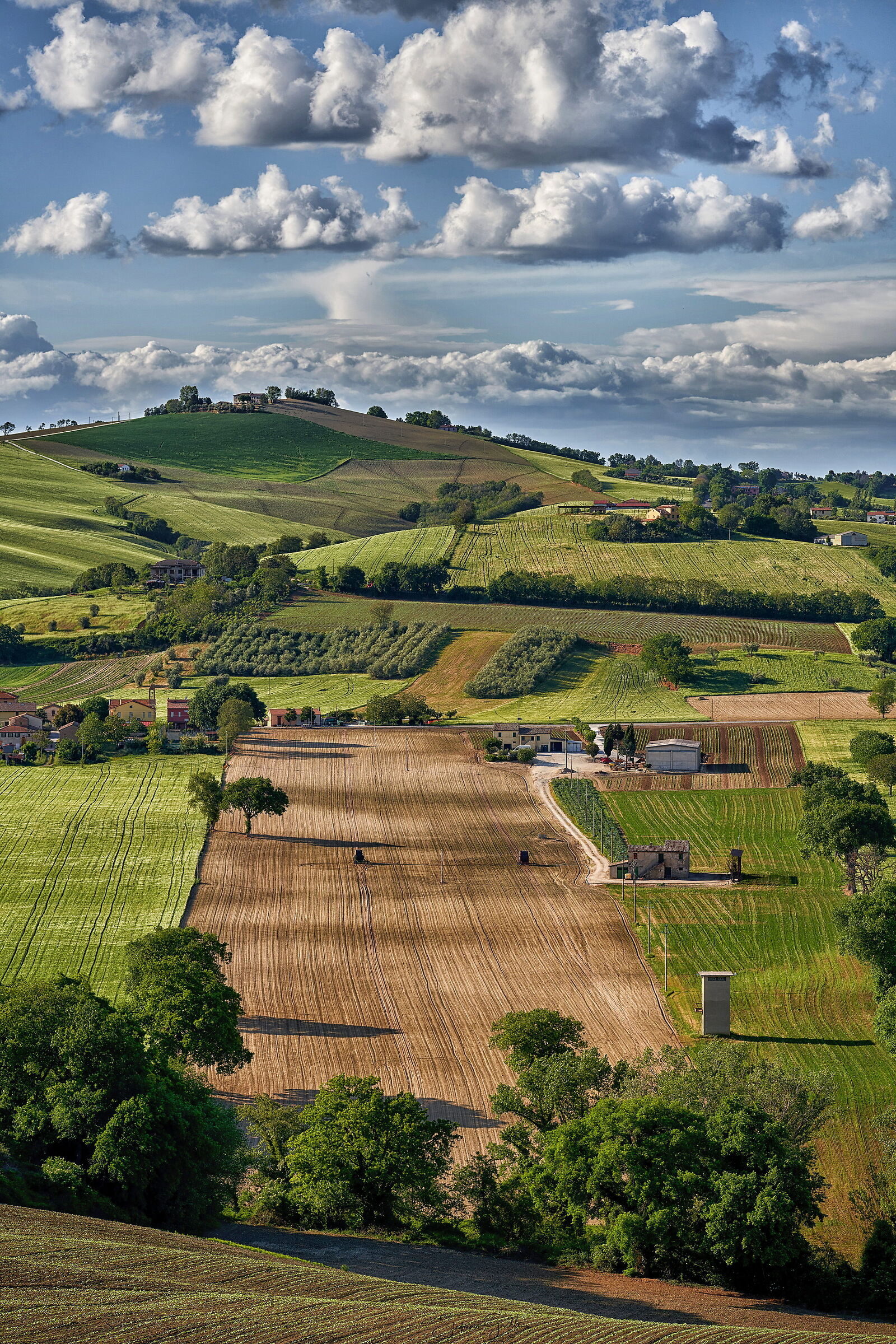 Campagna Marchigiana