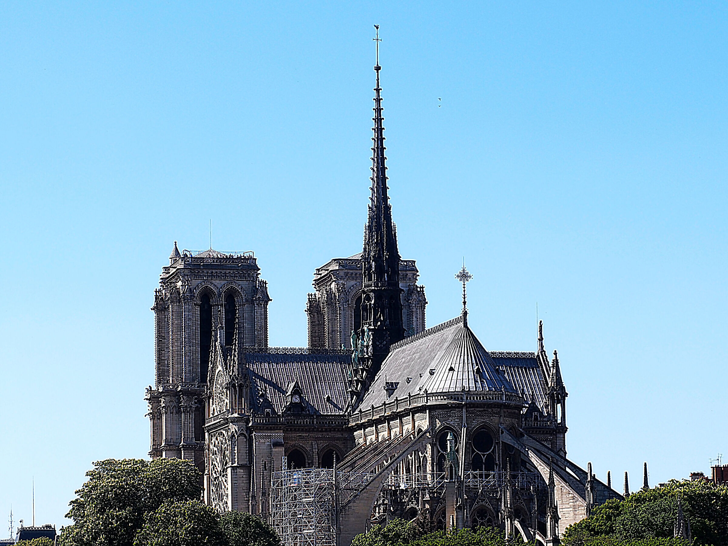 Paris Notre- Dame - May 2018