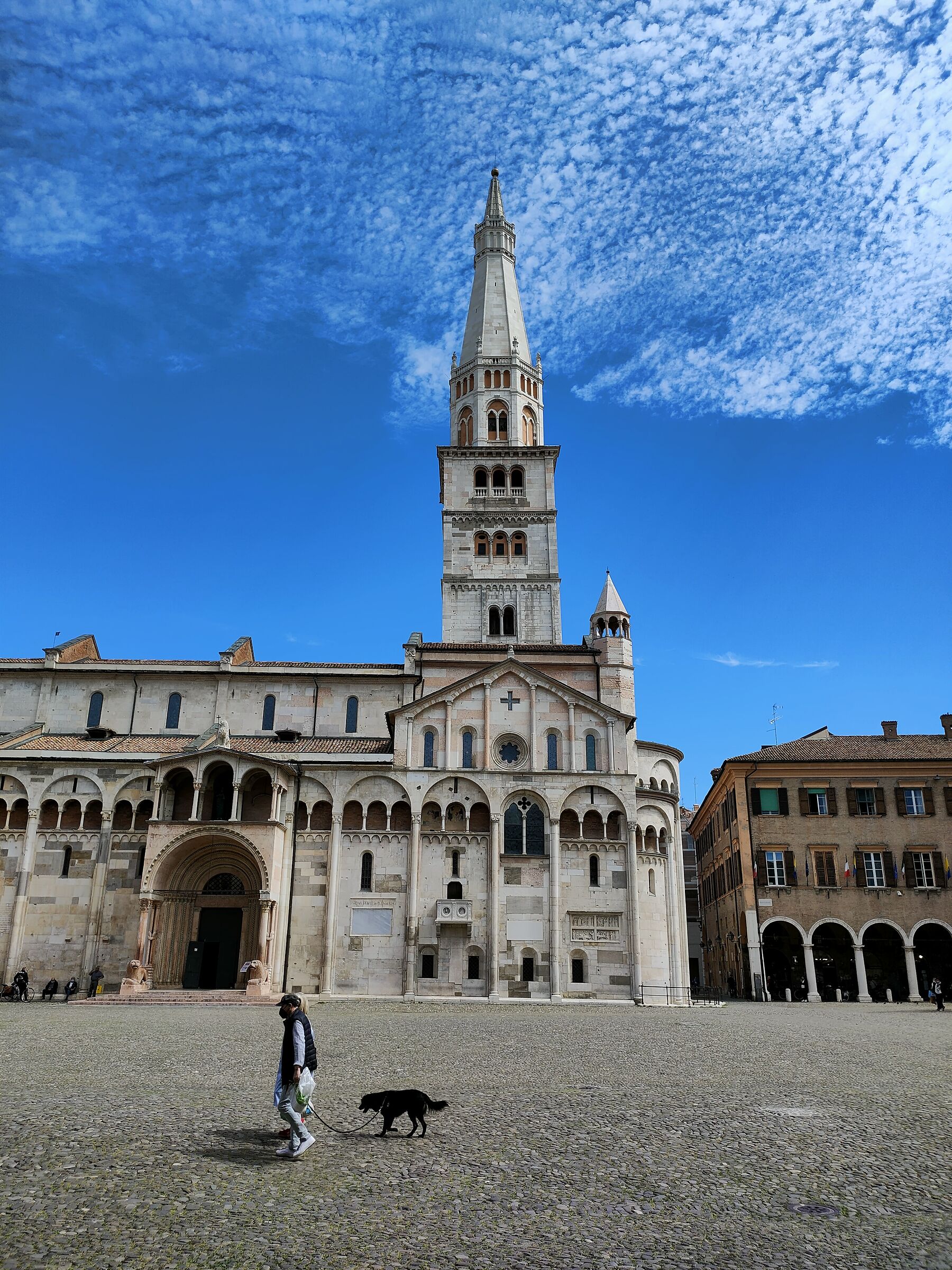 Walking with the dog...