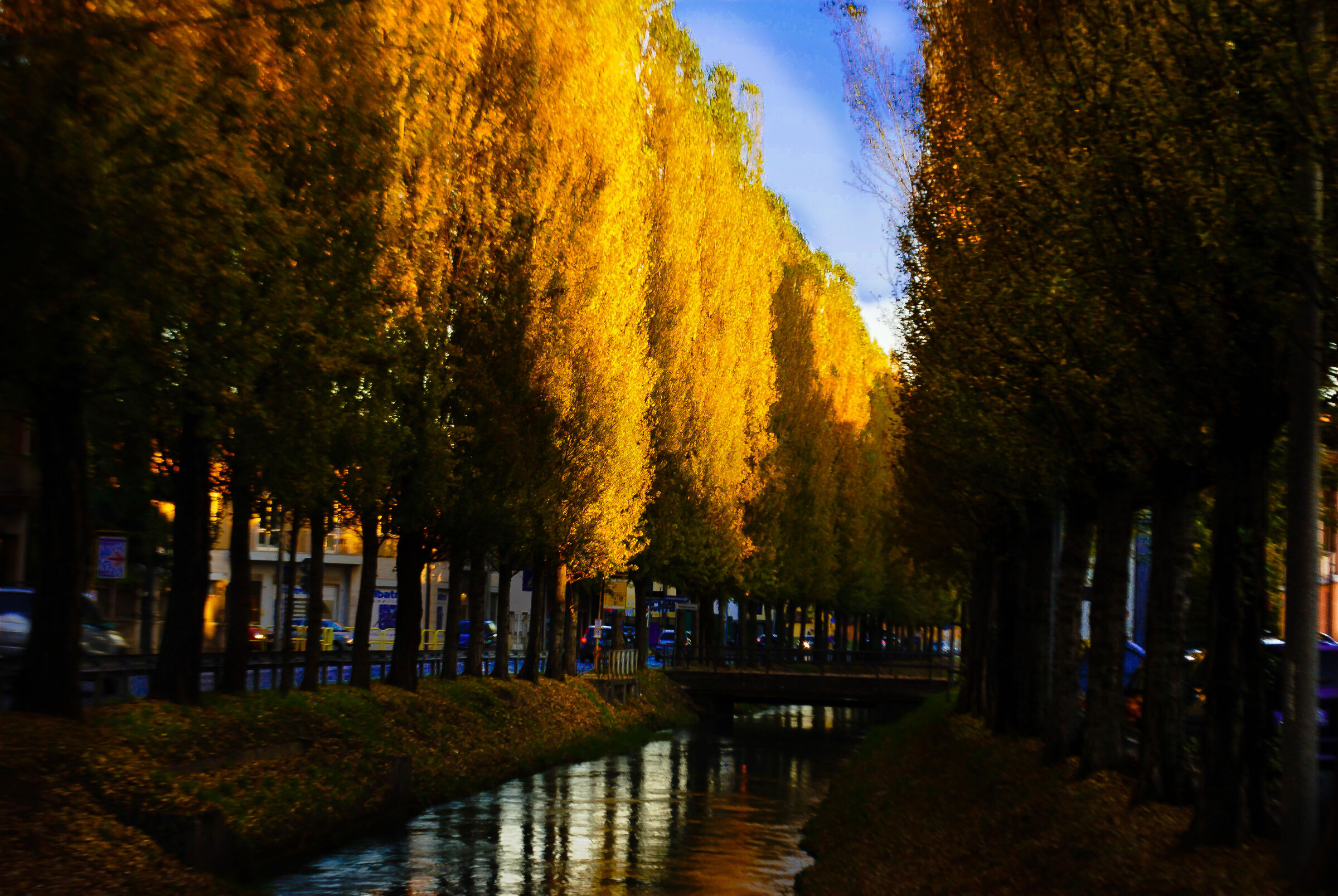 colori autunnali sulla Roggia