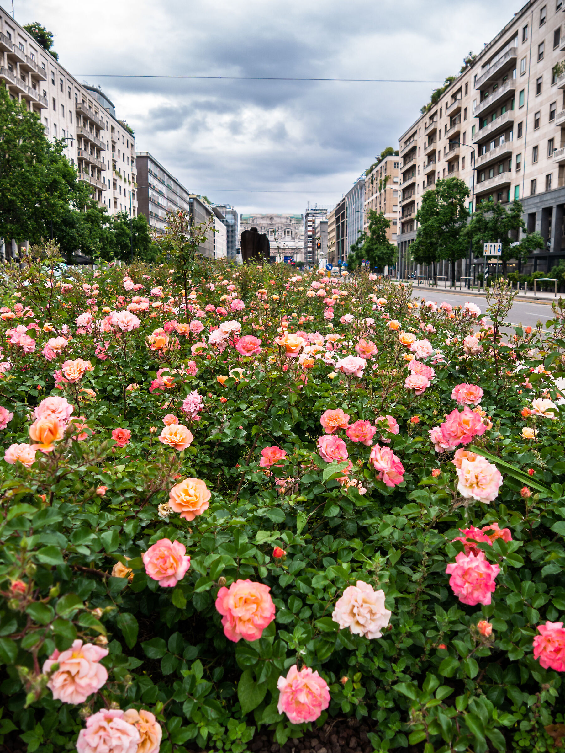 Via Vittor Pisani - Milan
