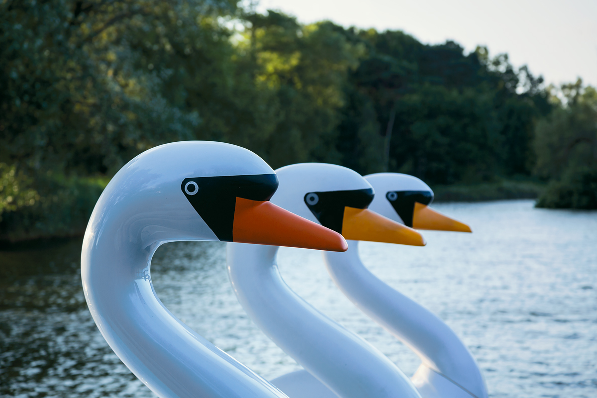 Pedal Boats