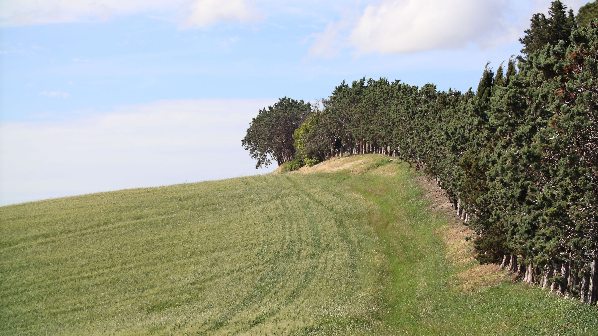 Surroundings Lake Santa Luce, Tuscany
