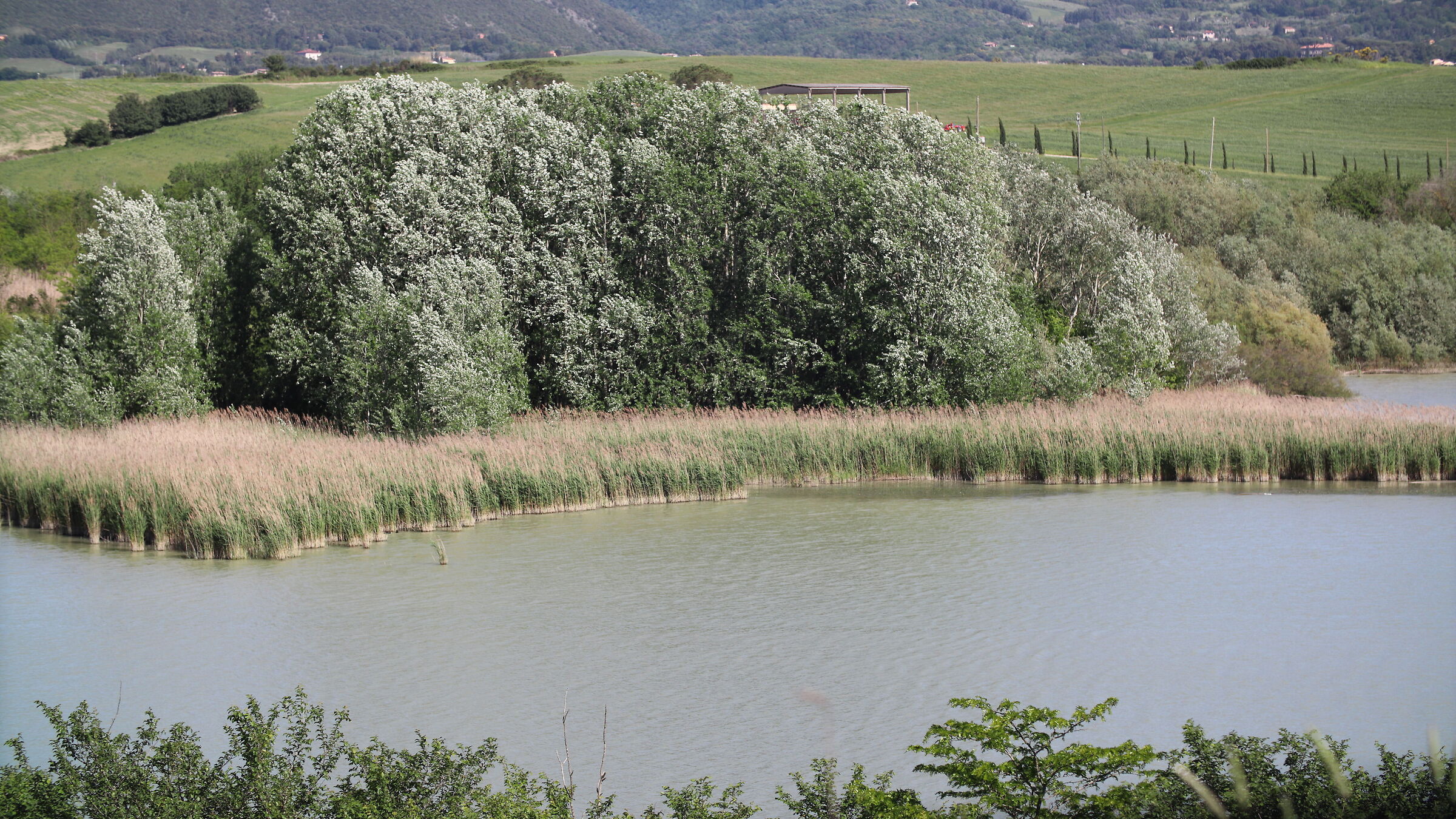 Lake Santa Luce. Tuscany