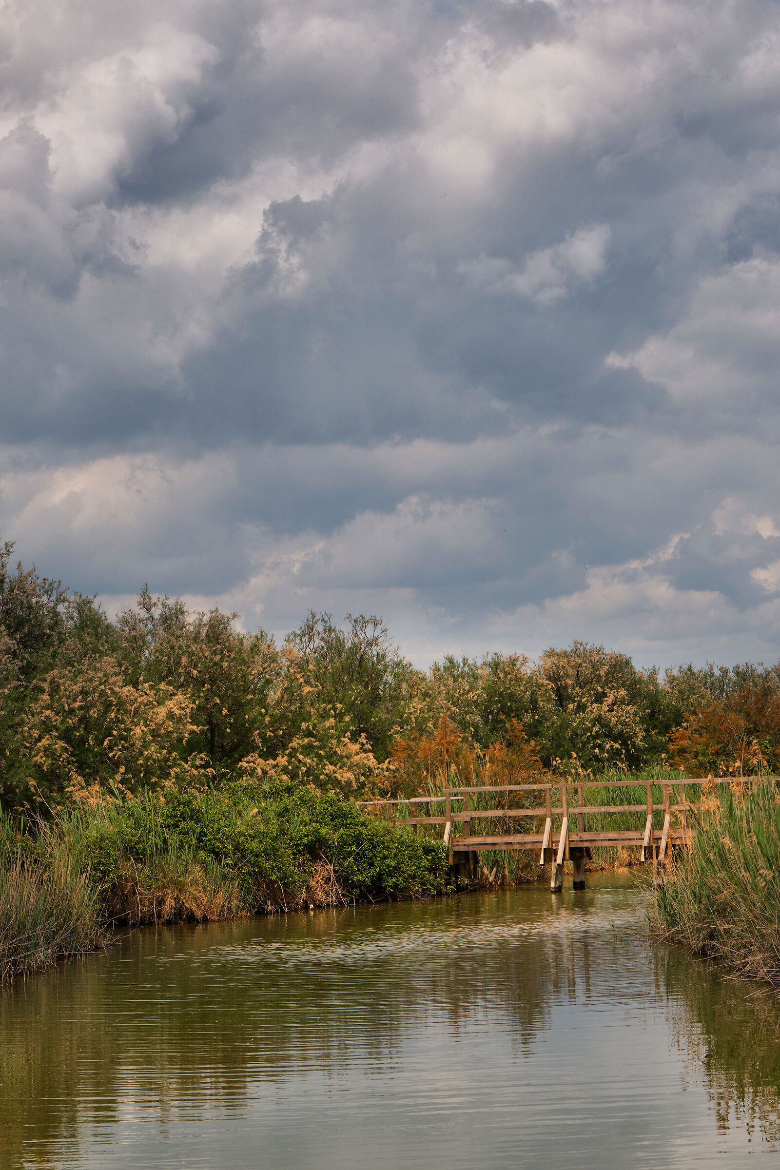 Oasi Canneviè-Porticino