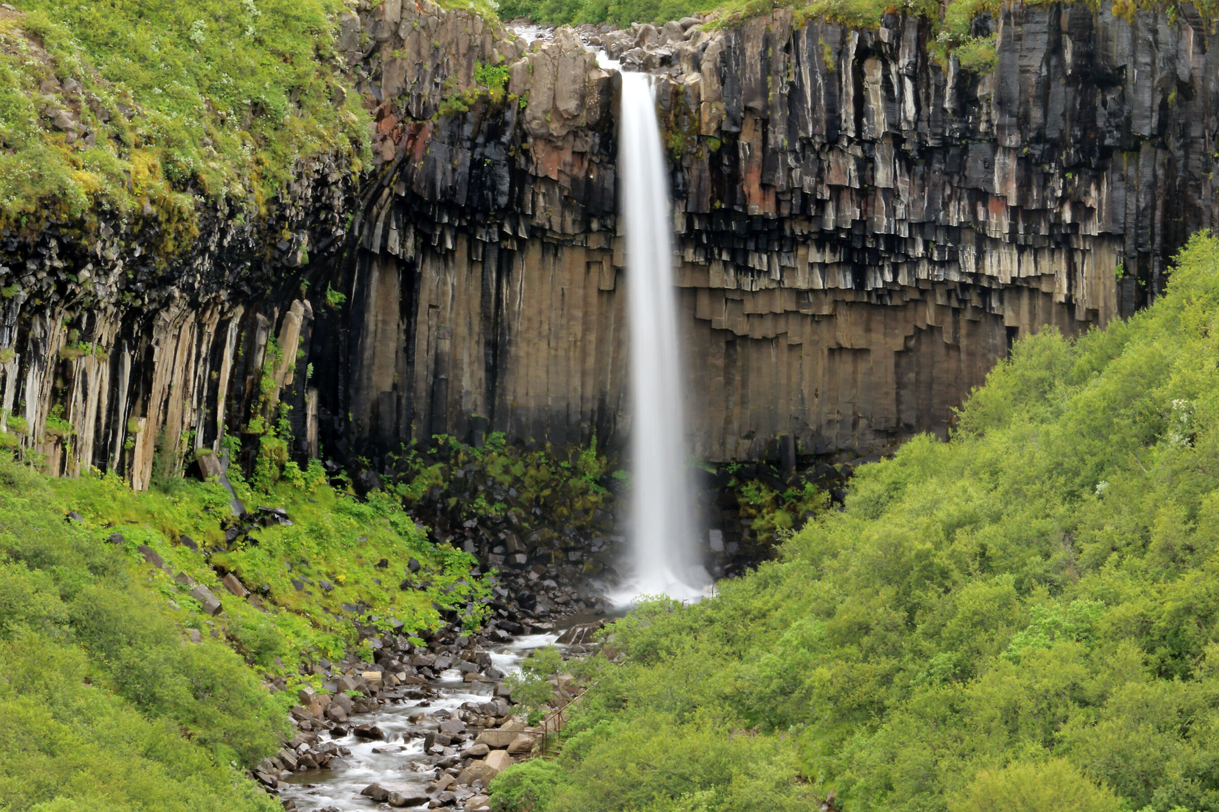 Svartifoss in Skaftafell