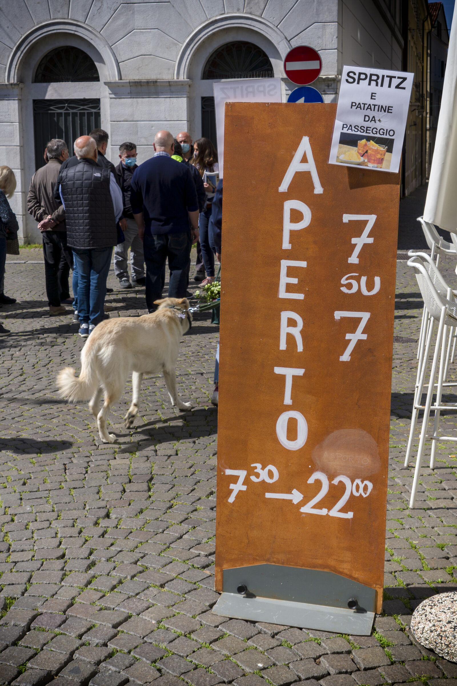 walking dogs and spritzes