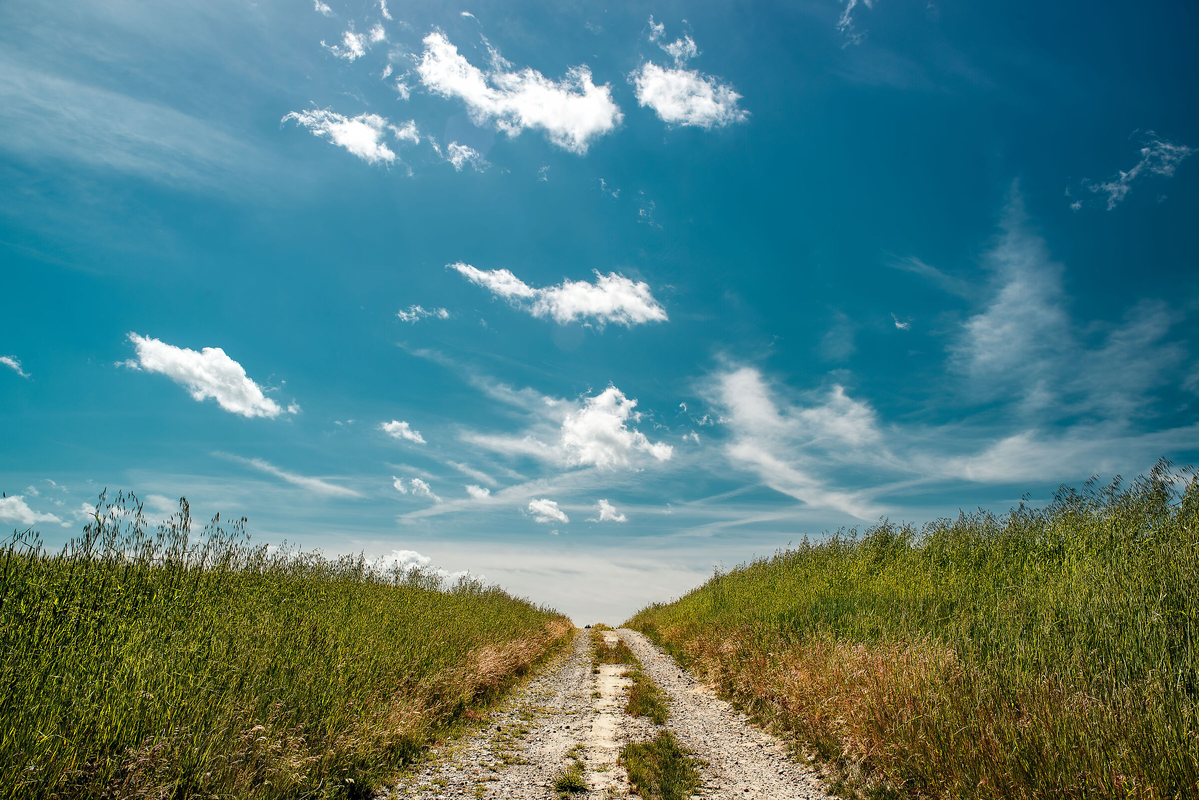 saltando verso il cielo