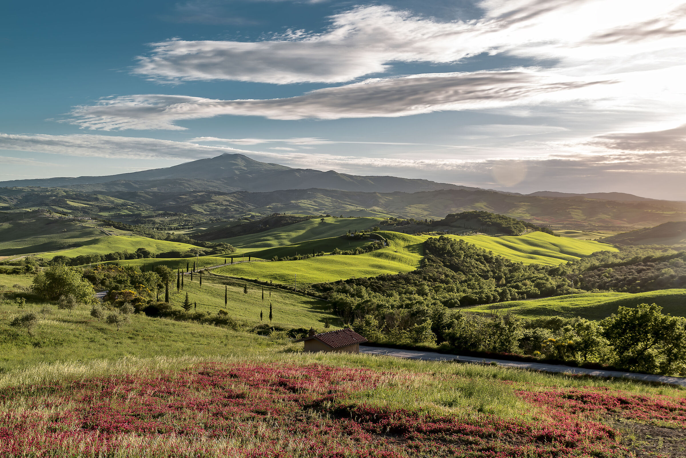 campagna toscana monte cetona lato sud/ovest