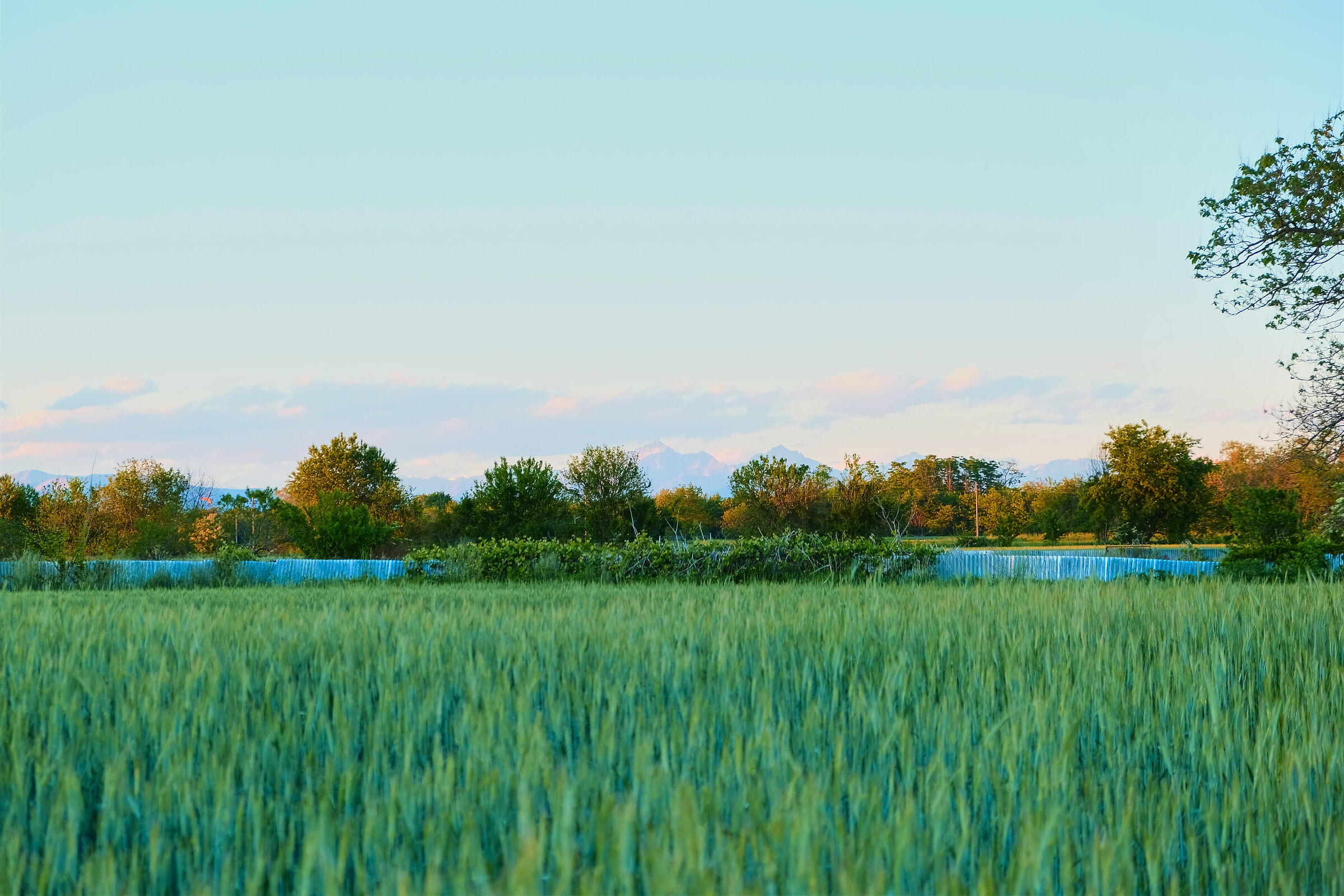 Campagna all'imbrunire