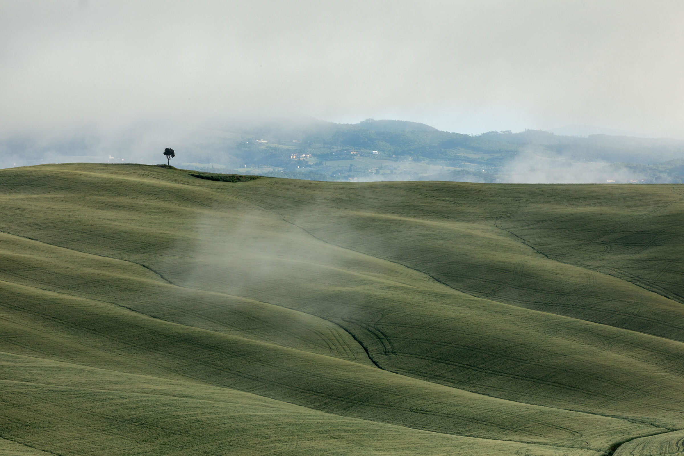 The Crete Senesi