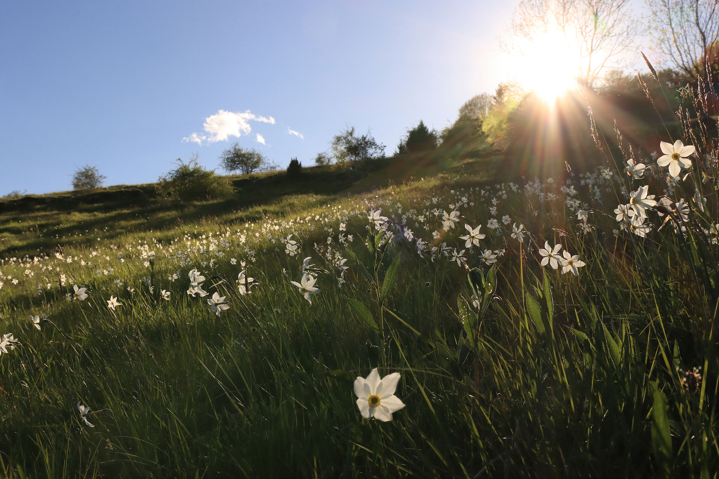 and now all to sleep