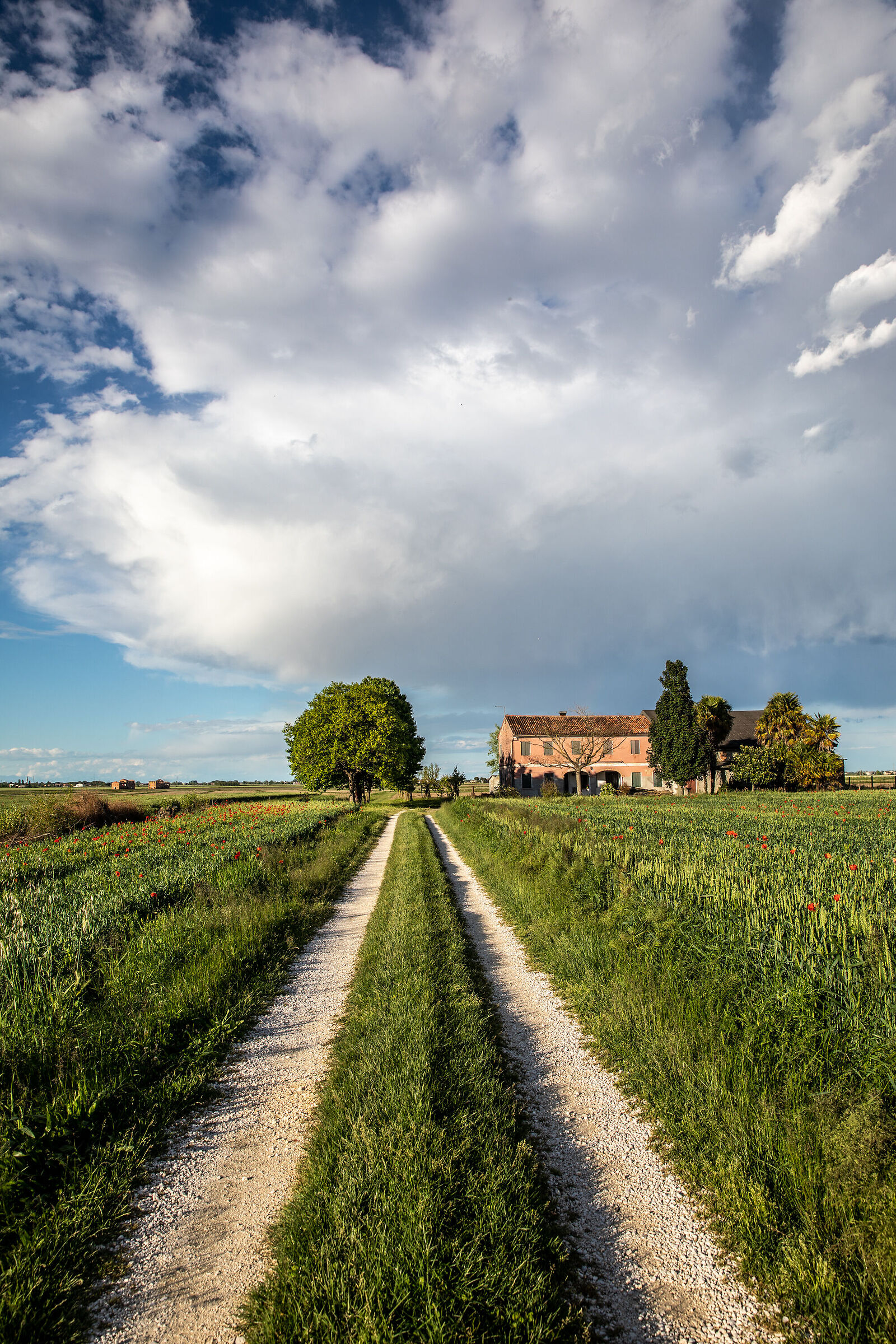 I luoghi della bonifica