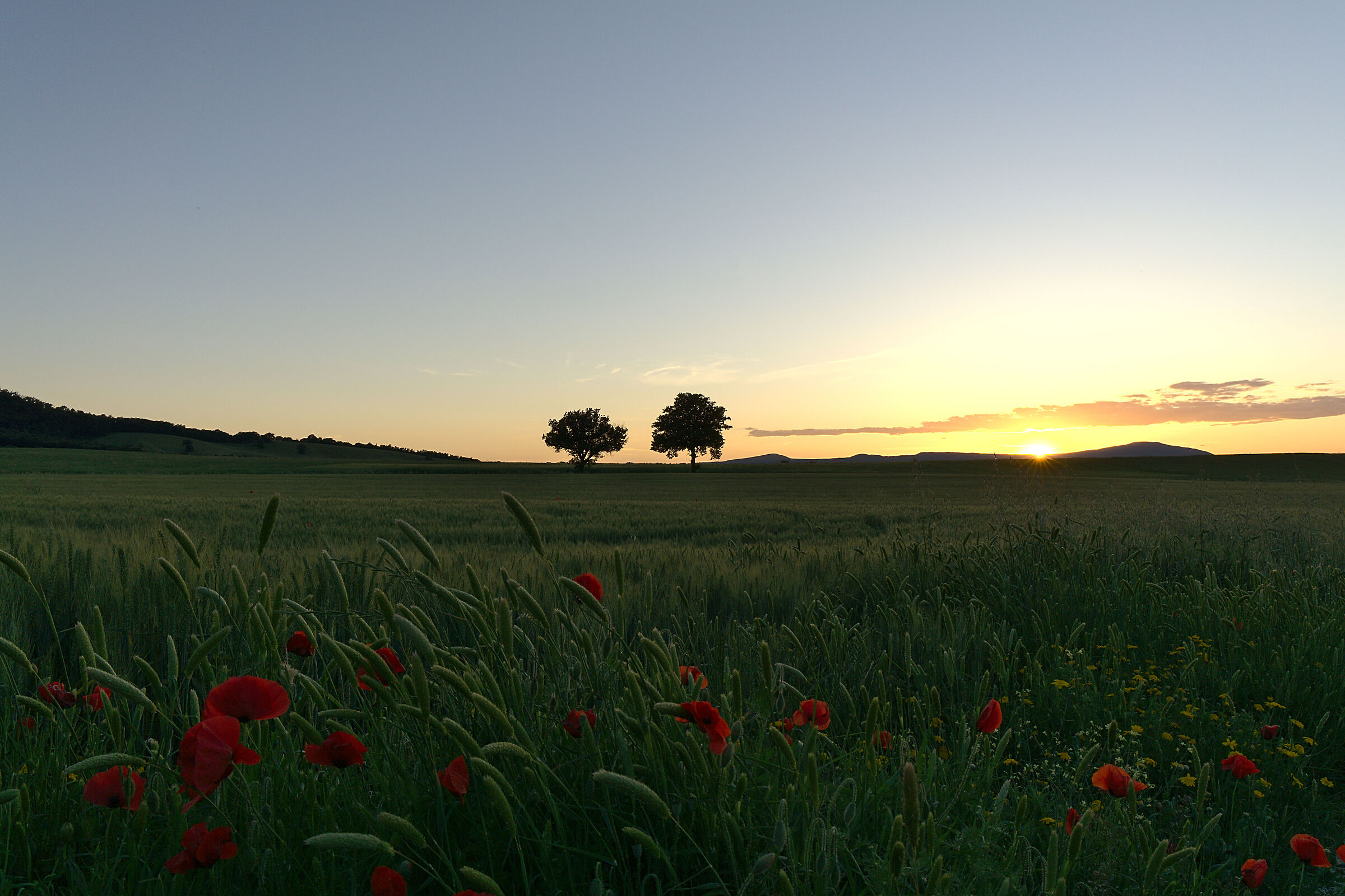 At Sunset