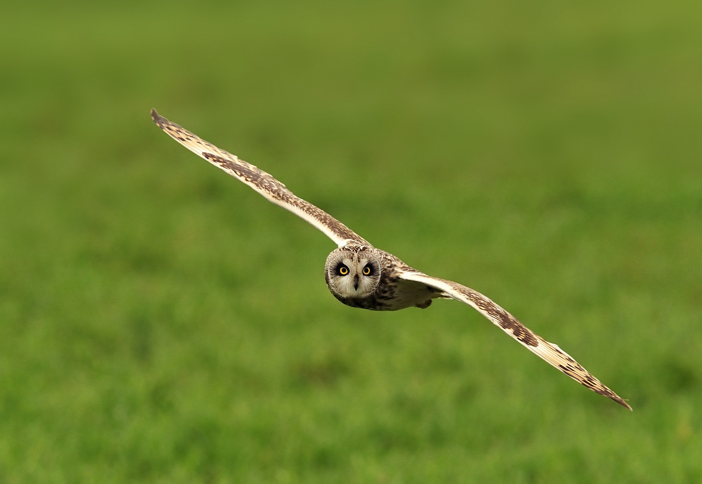 I'm coming .... prepared!