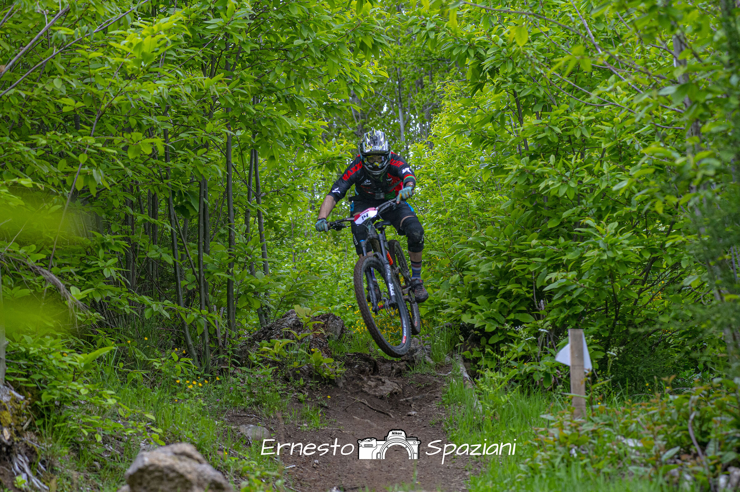 down from the man-in-the-house cymino