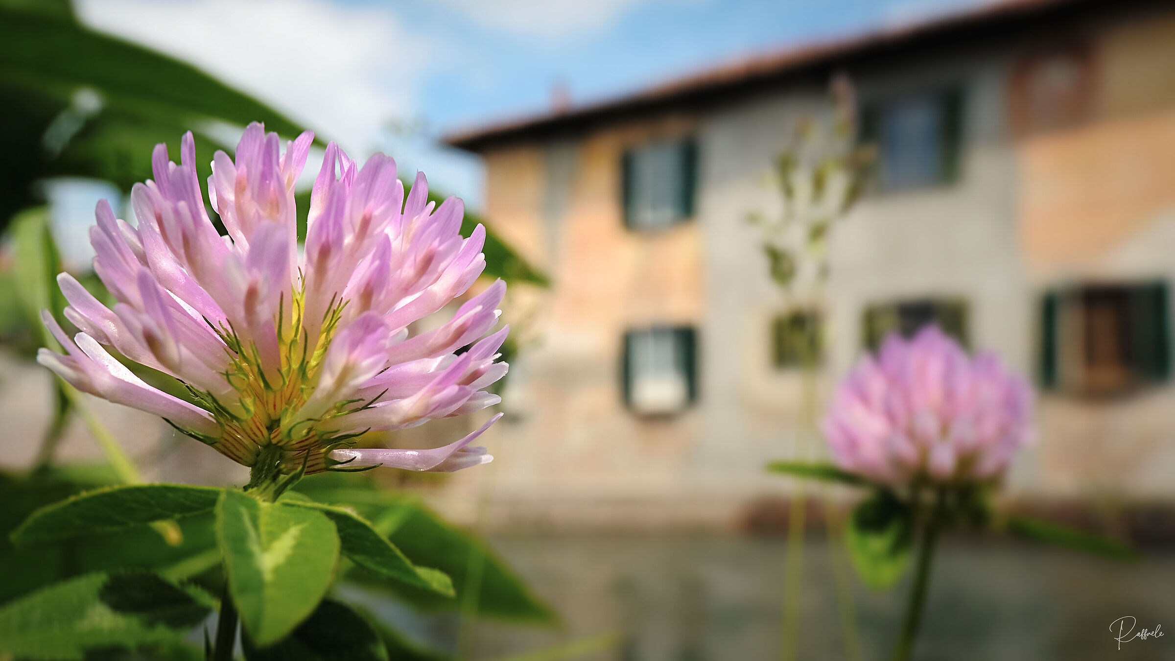 lungo le sponde del Naviglio Grande